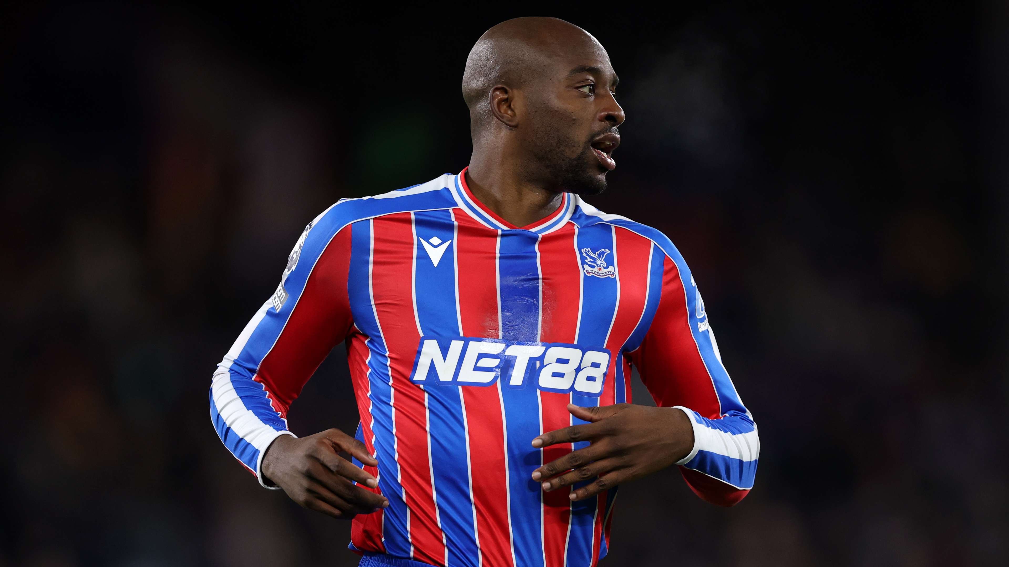 Crystal Palace v Fulham - Premier League