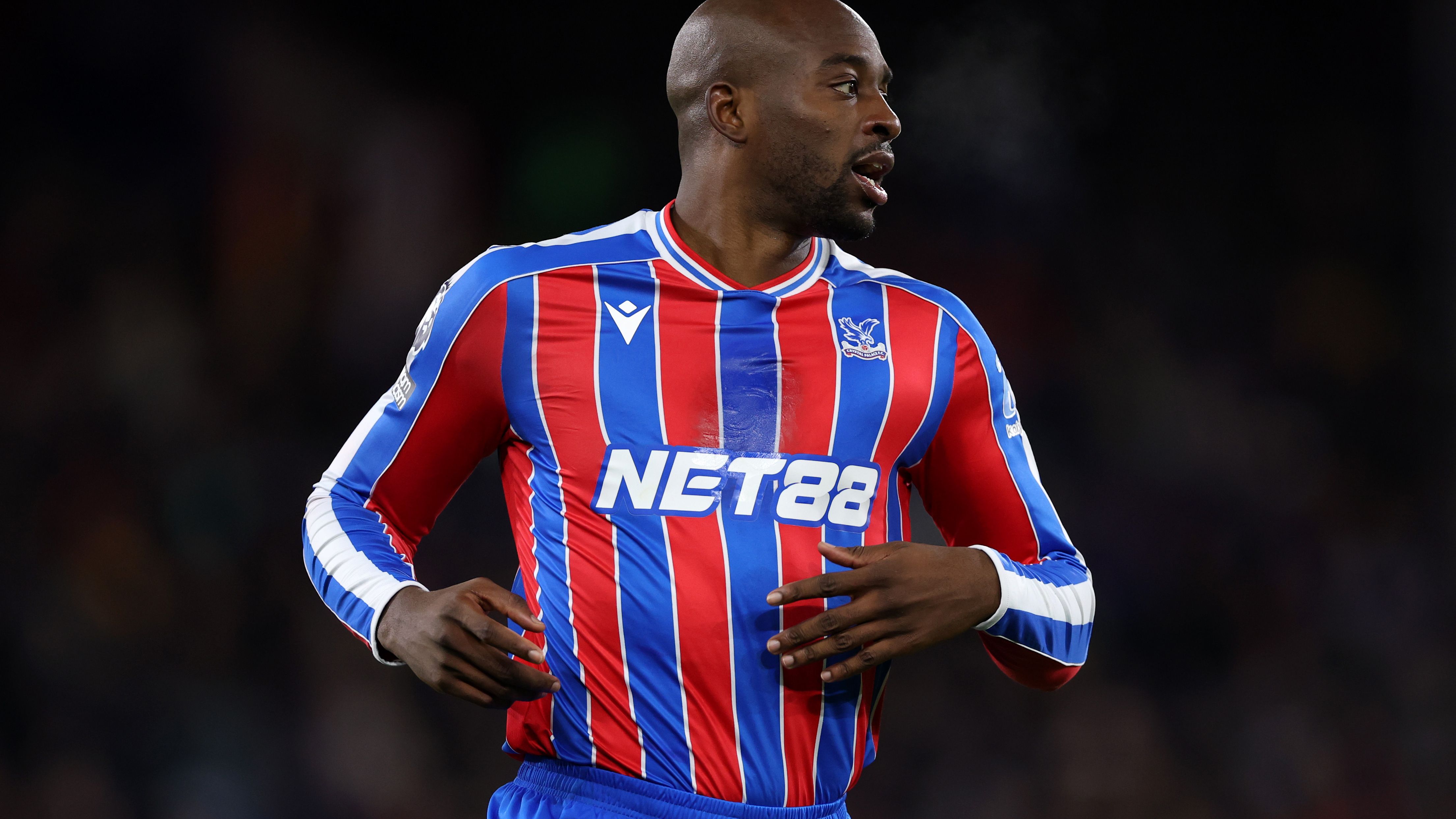 Crystal Palace v Fulham - Premier League