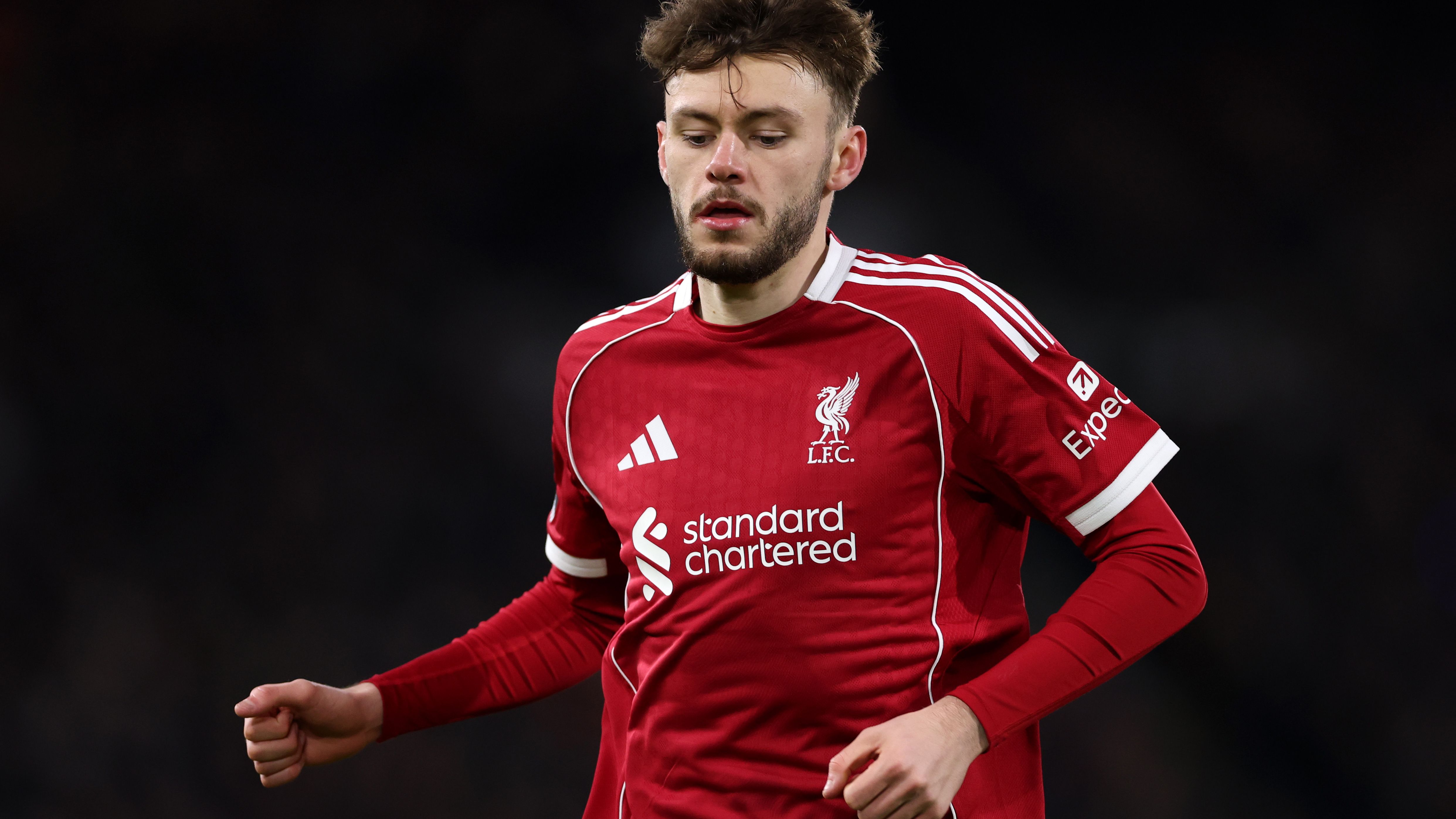 Fulham v Liverpool - Premier League