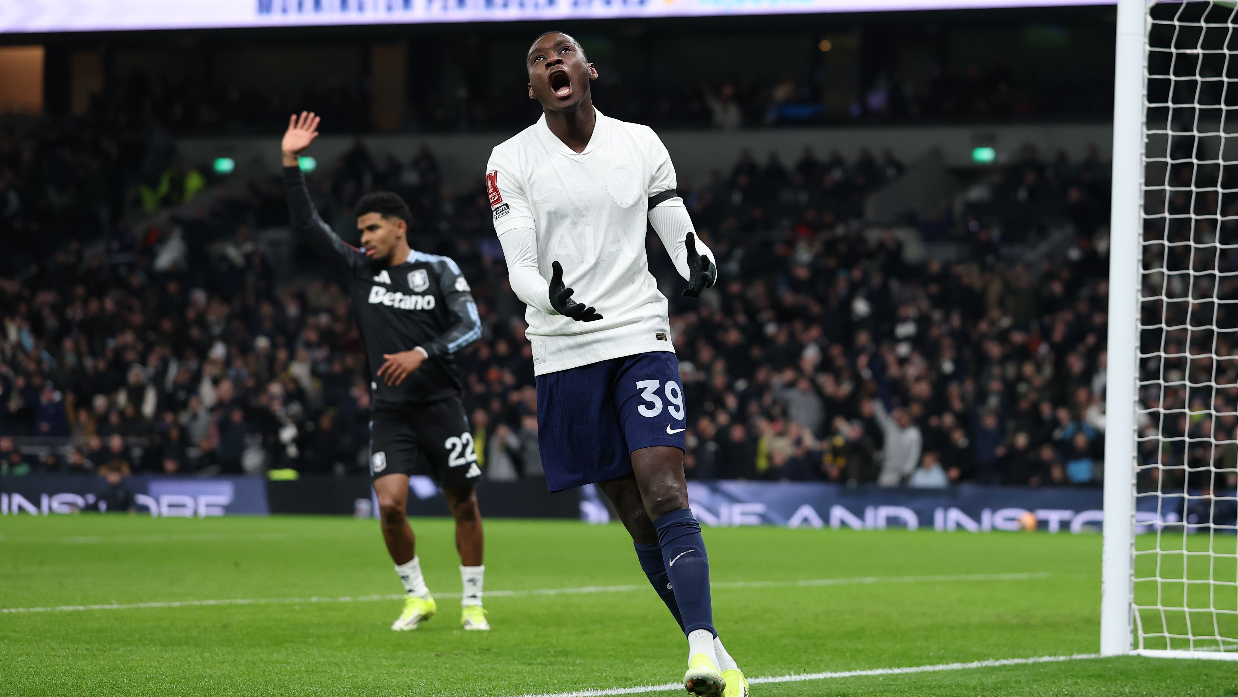 Tottenham Hotspur v Aston Villa - Emirates FA Cup Third Round