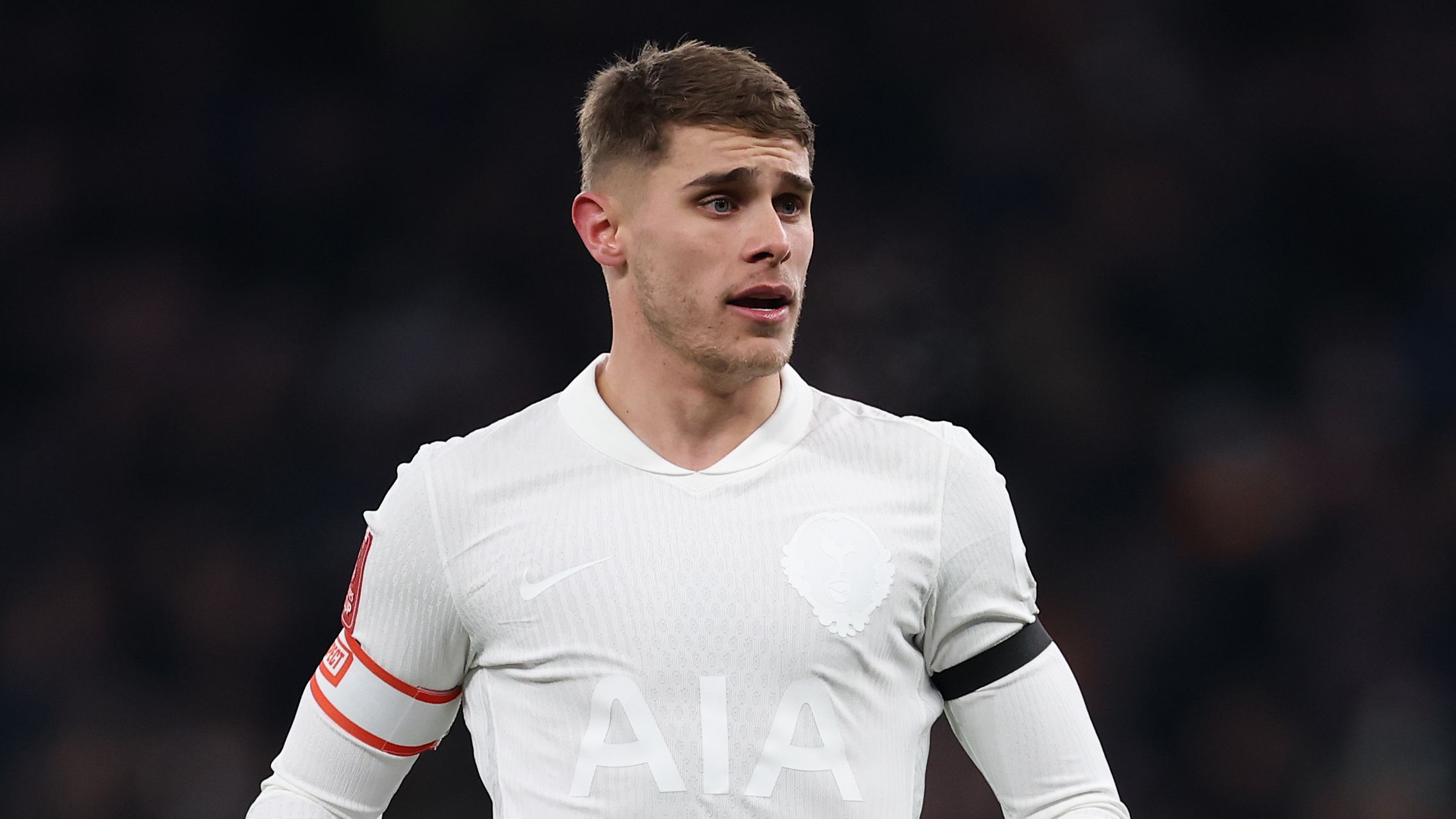 Tottenham Hotspur v Aston Villa - Emirates FA Cup Third Round