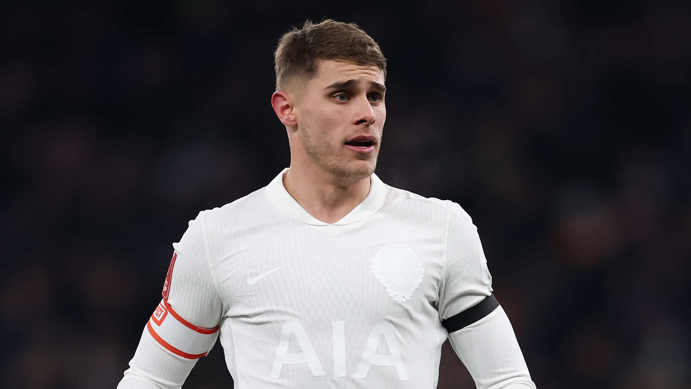 Tottenham Hotspur v Aston Villa - Emirates FA Cup Third Round