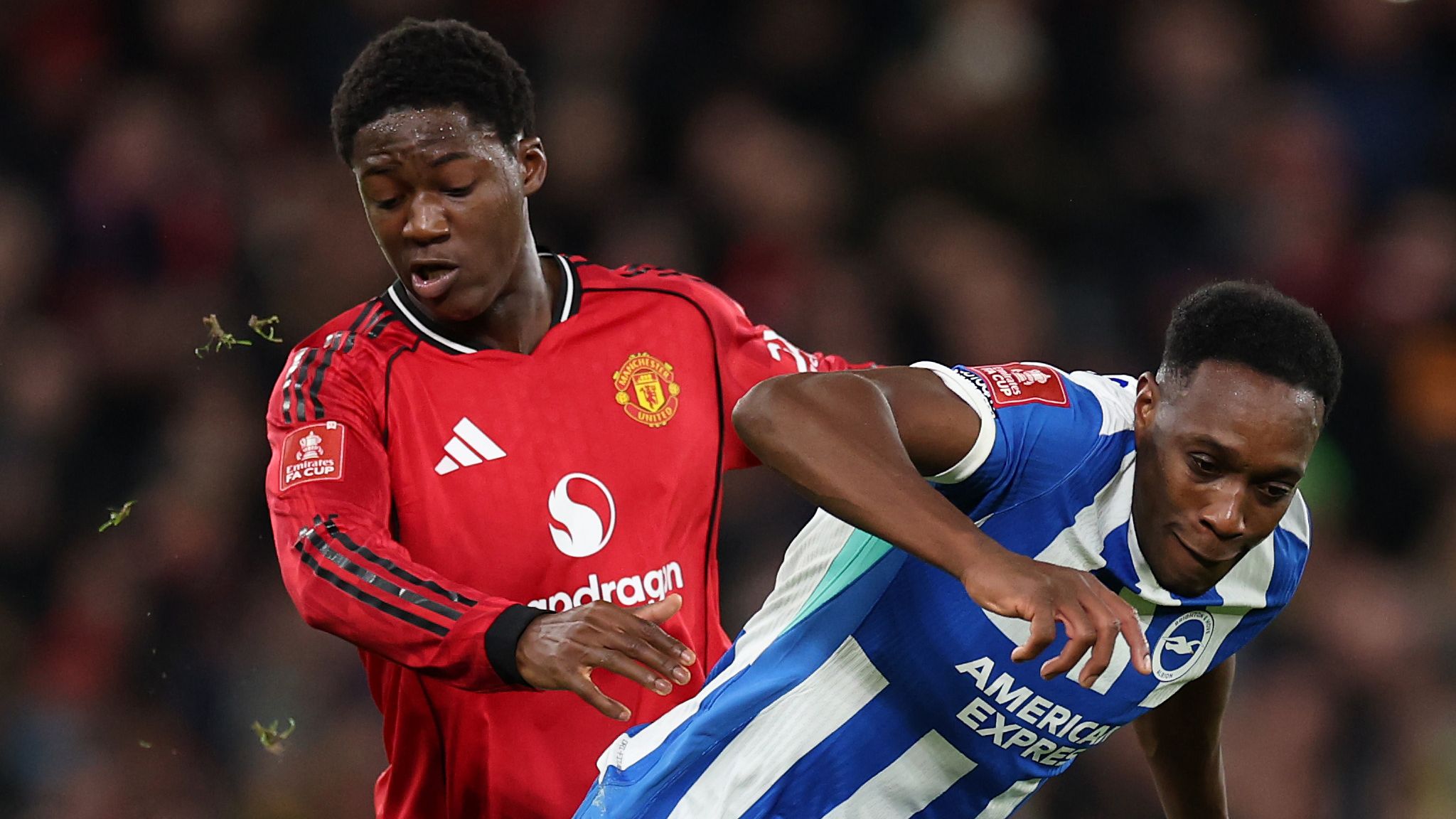 Manchester United v Brighton & Hove Albion - Emirates FA Cup Third Round