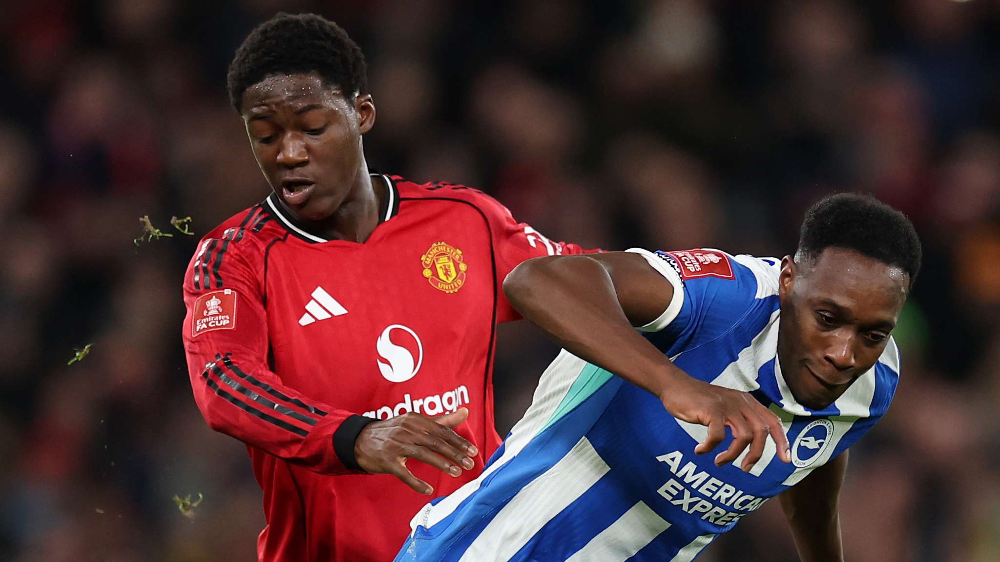 Manchester United v Brighton & Hove Albion - Emirates FA Cup Third Round
