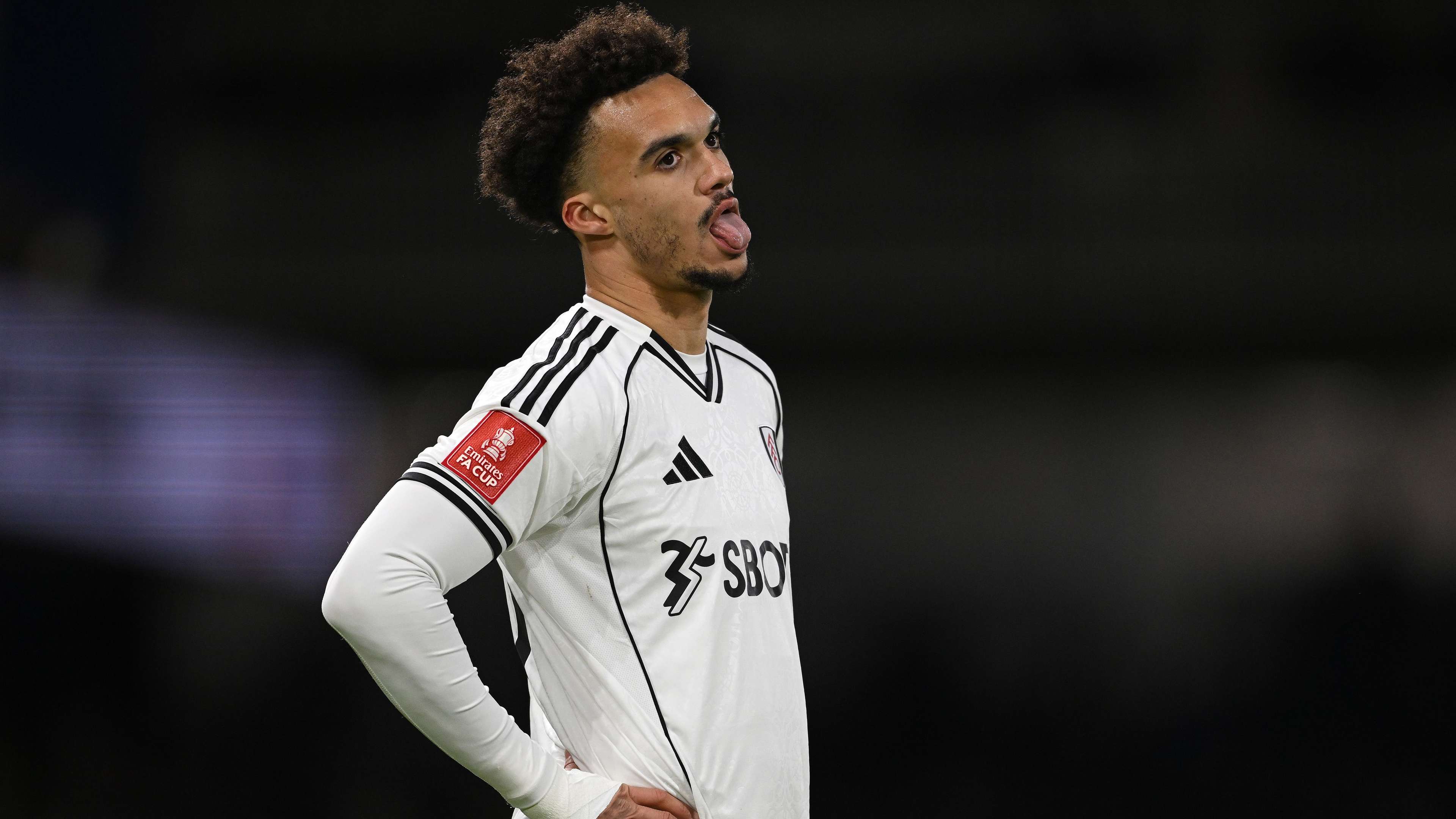 Fulham v Middlesbrough - Emirates FA Cup Third Round