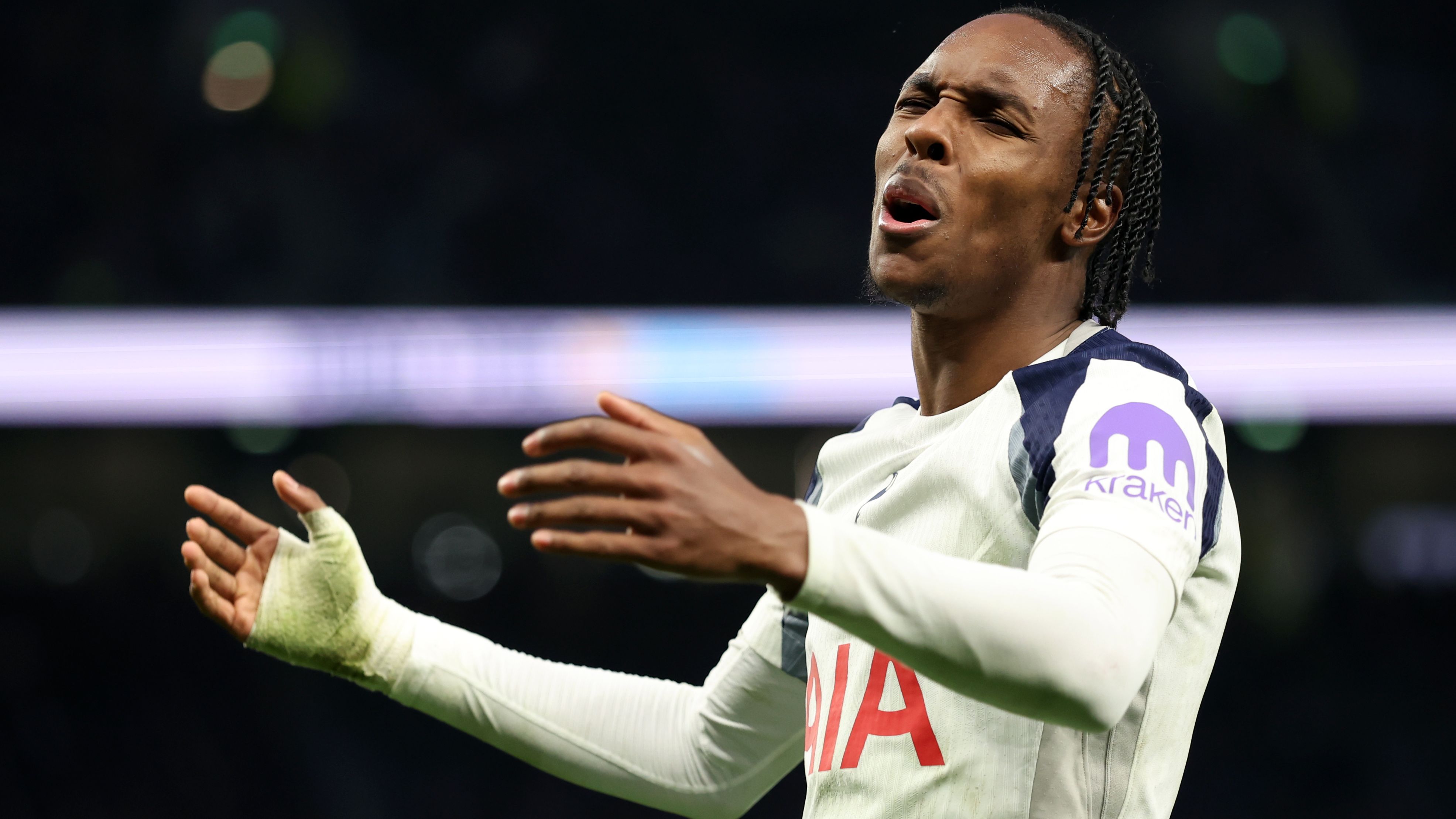 Tottenham Hotspur v West Ham United - Premier League