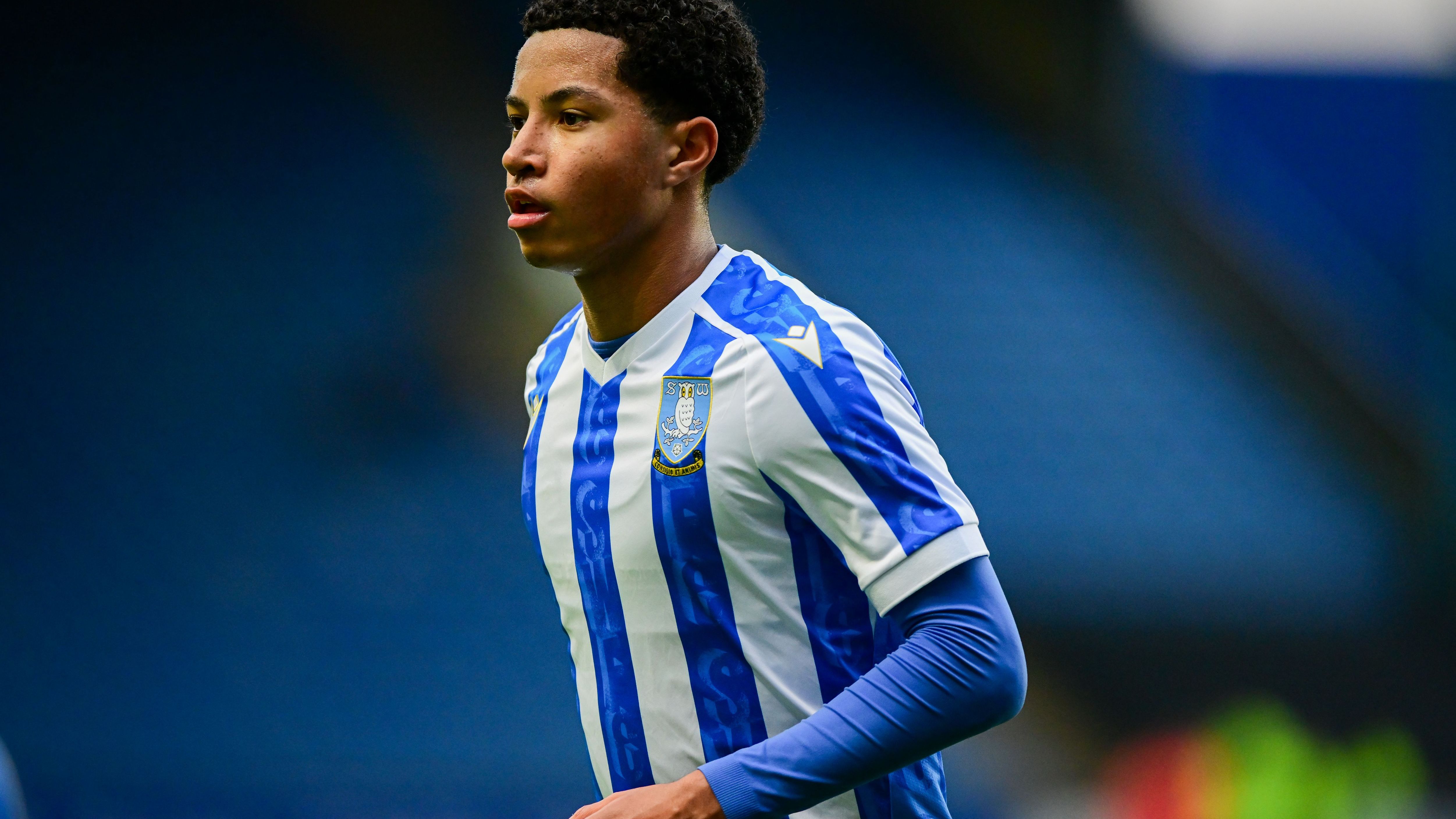 Sheffield Wednesday v Portsmouth - Sky Bet Championship
