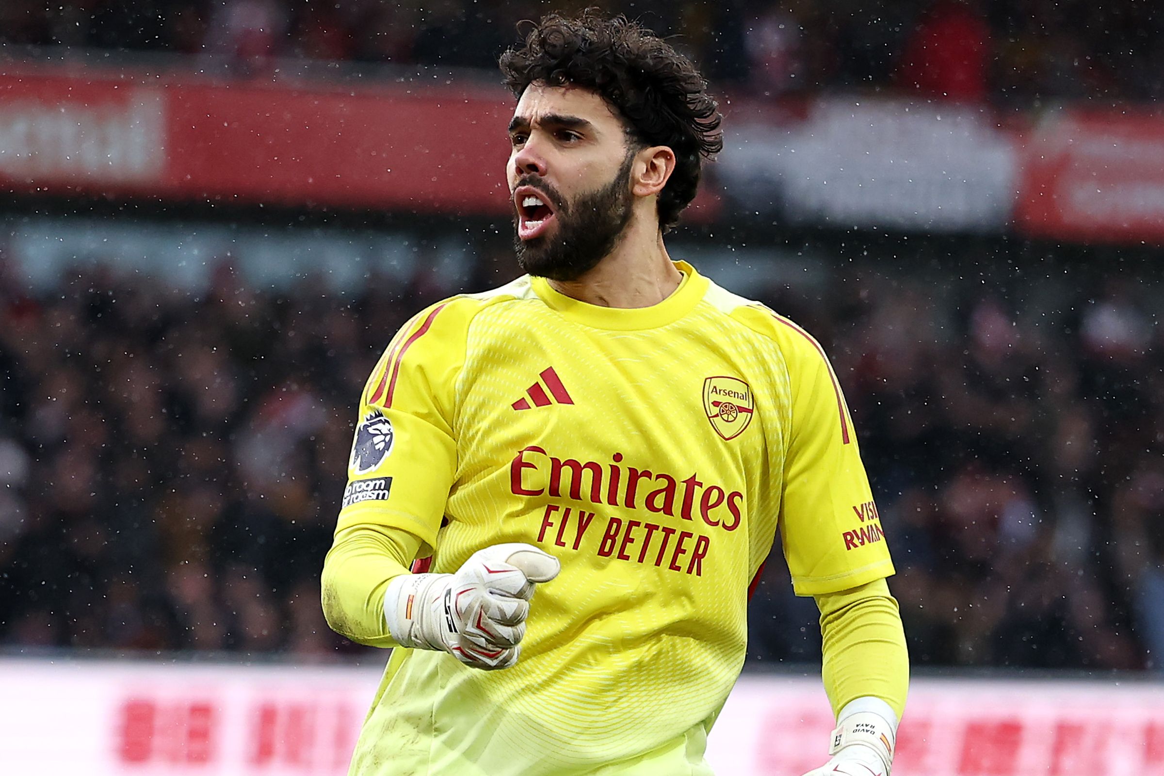 Arsenal v Sunderland - Premier League