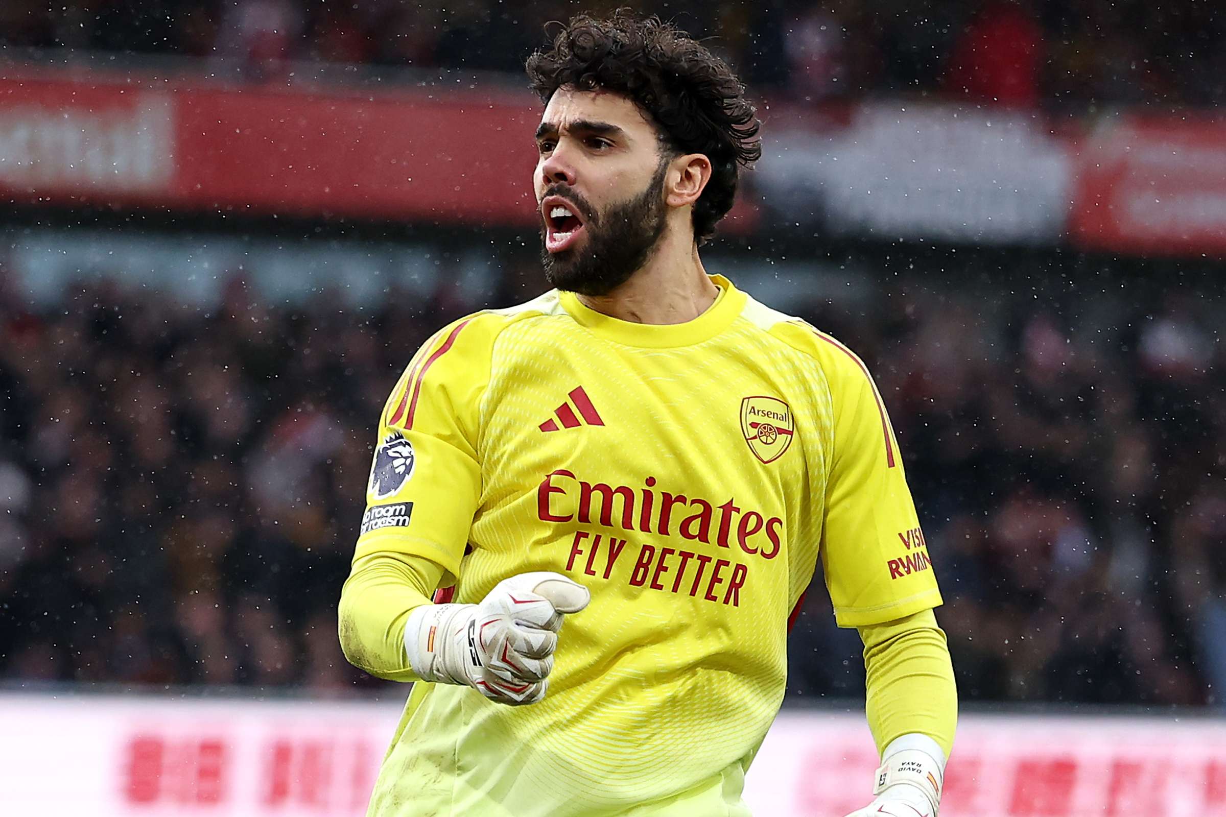 Arsenal v Sunderland - Premier League