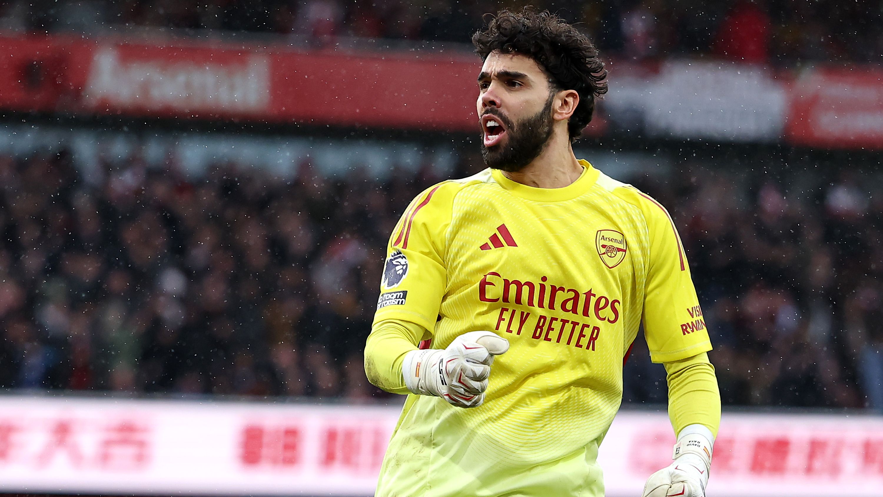 Arsenal v Sunderland - Premier League