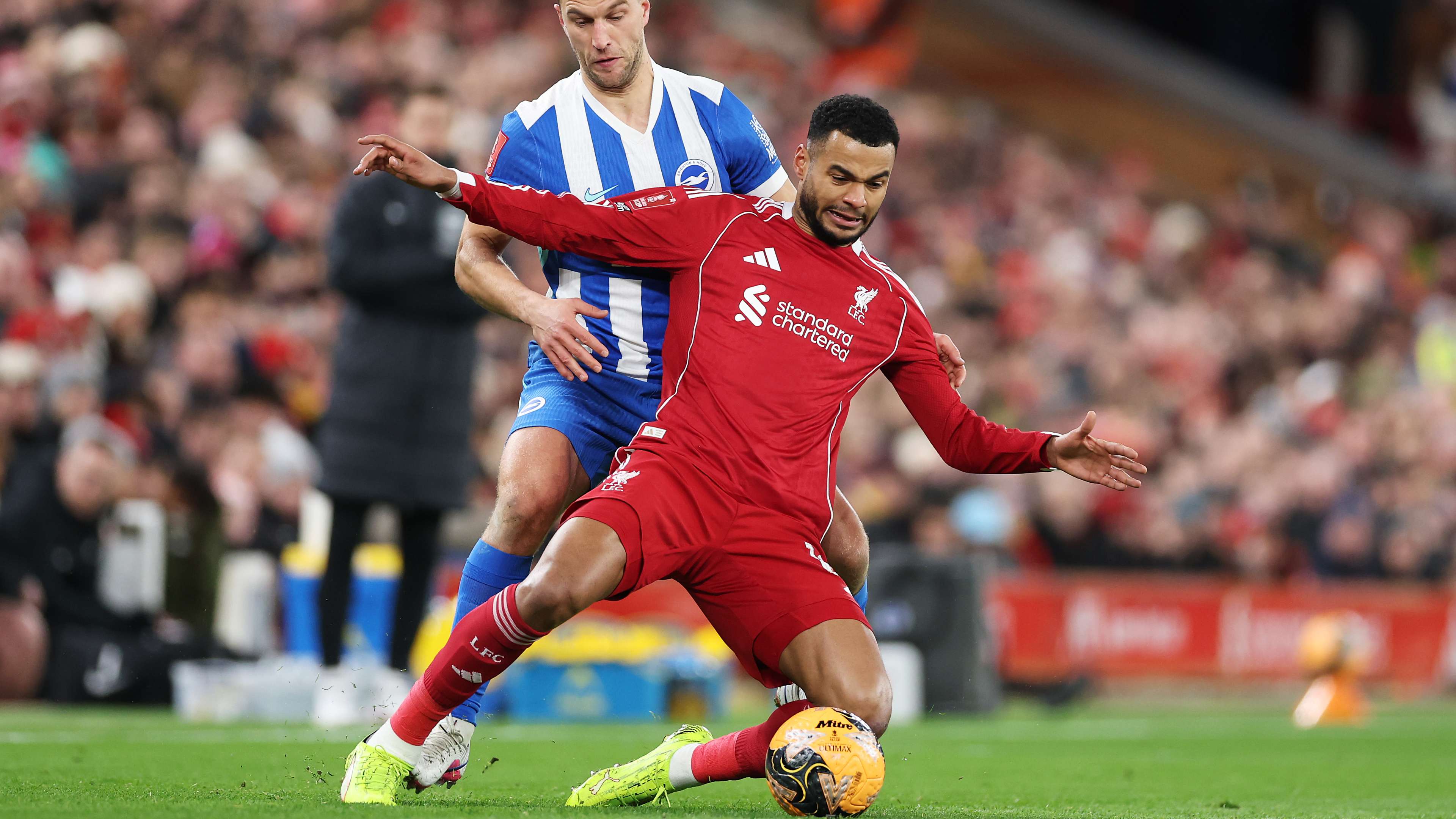 Liverpool v Brighton & Hove Albion - Emirates FA Cup Fourth Round