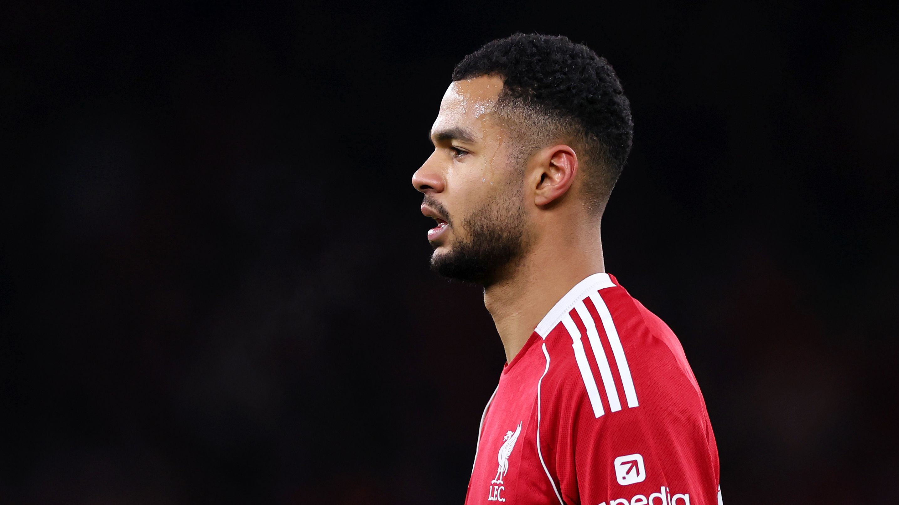 Liverpool v Brighton & Hove Albion - Emirates FA Cup Fourth Round