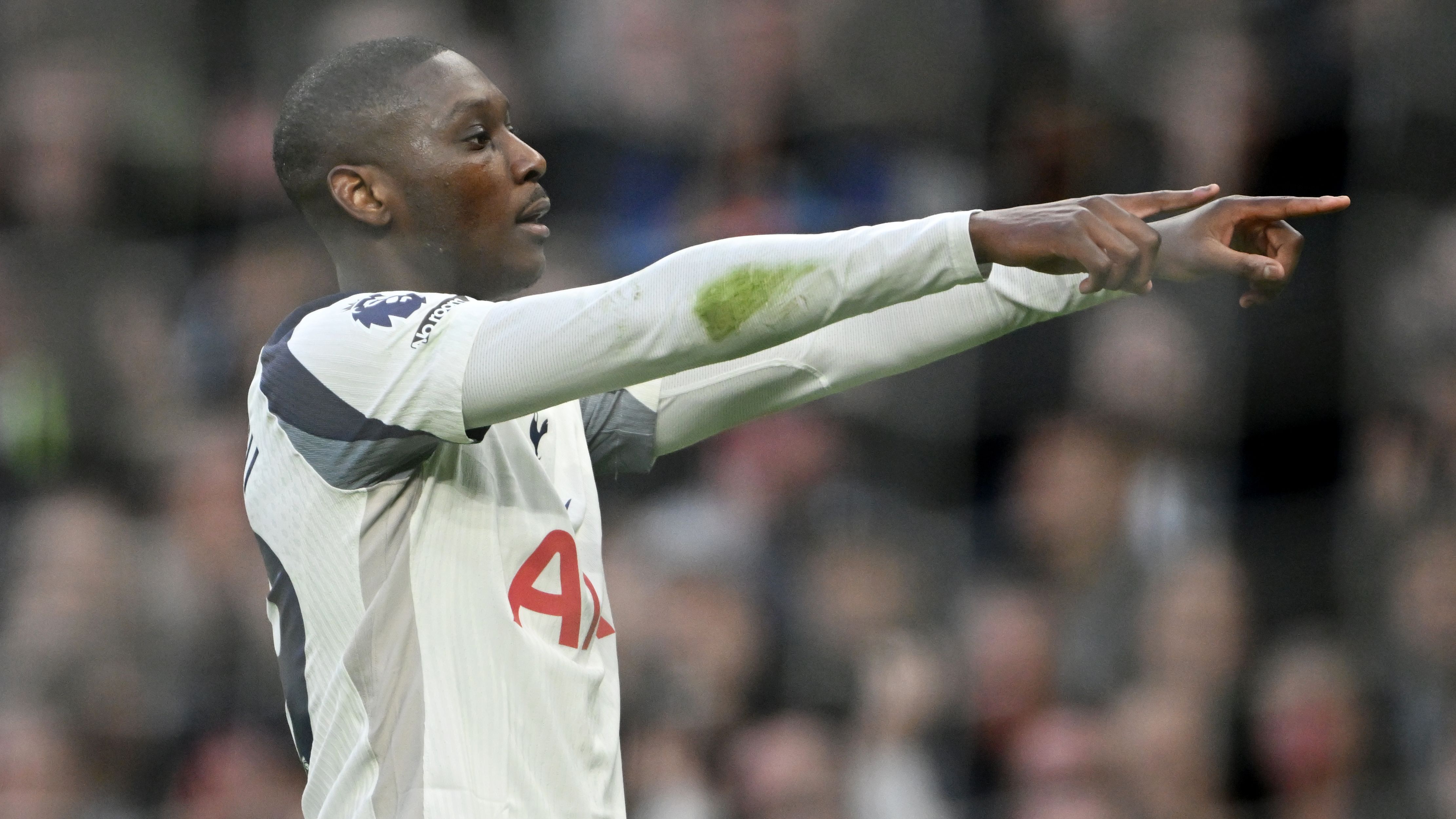 Tottenham Hotspur v Arsenal - Premier League