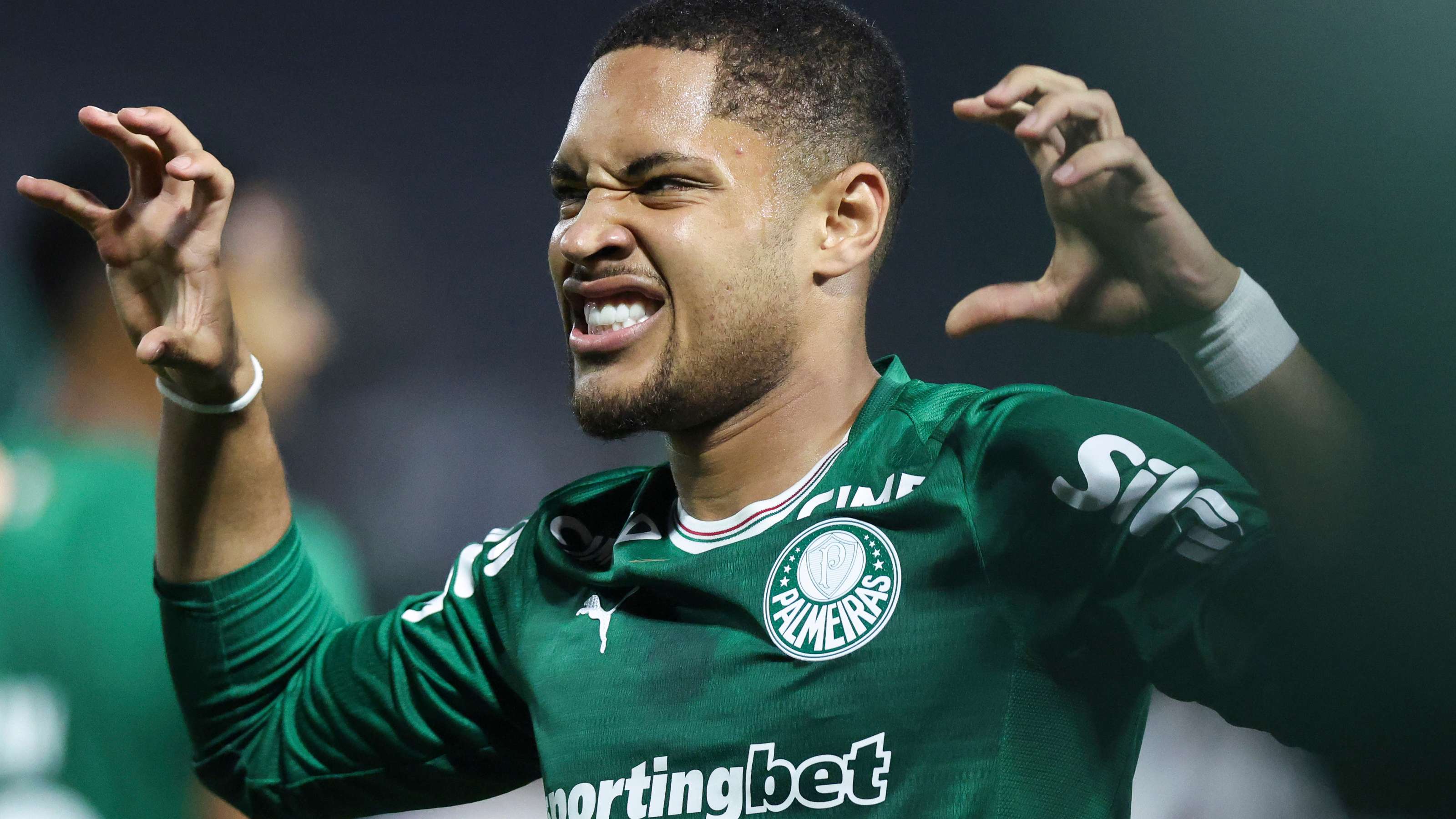 Palmeiras v Fluminense - Brasileirao 2026