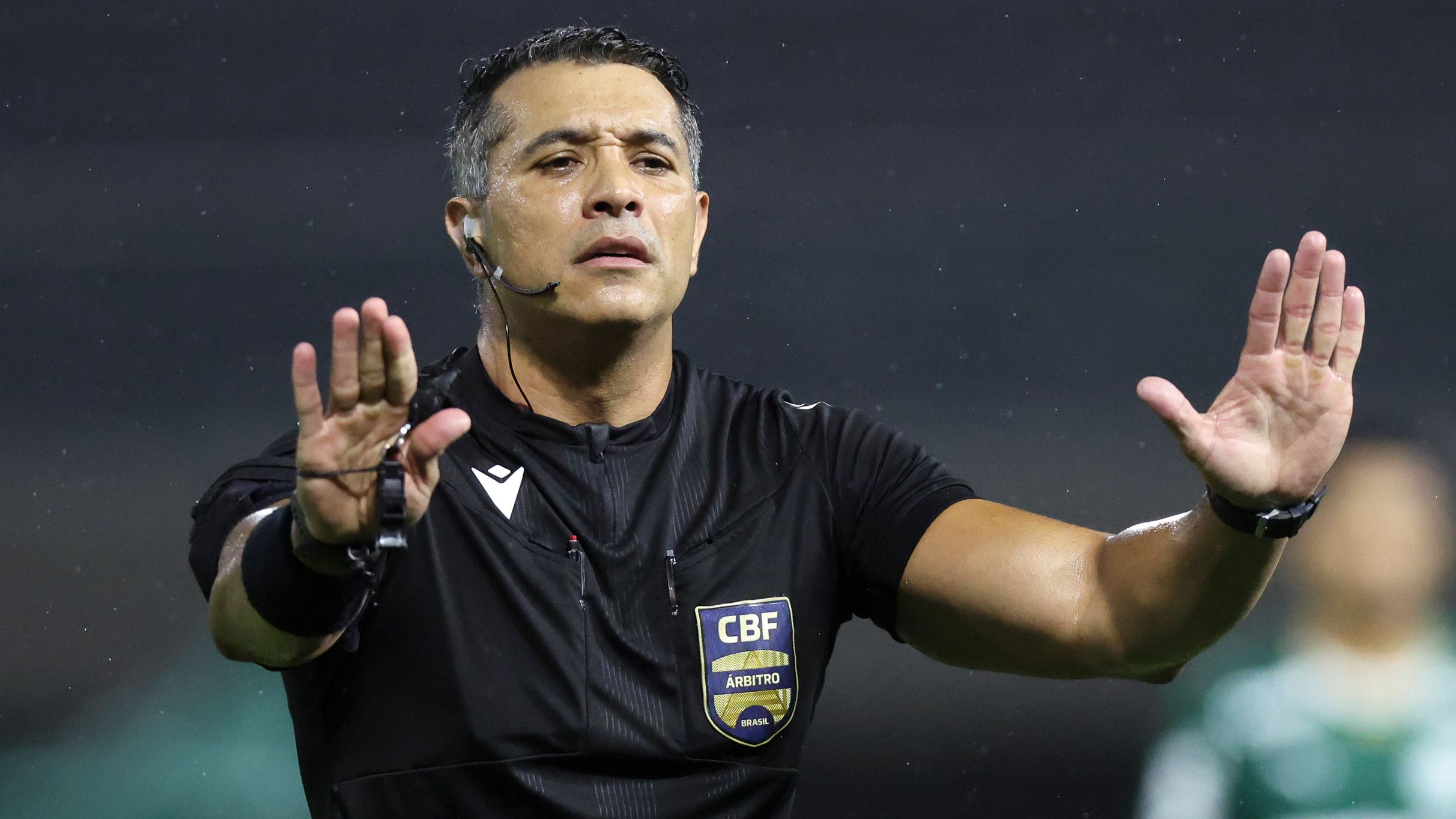 Palmeiras v Fluminense - Brasileirao 2026