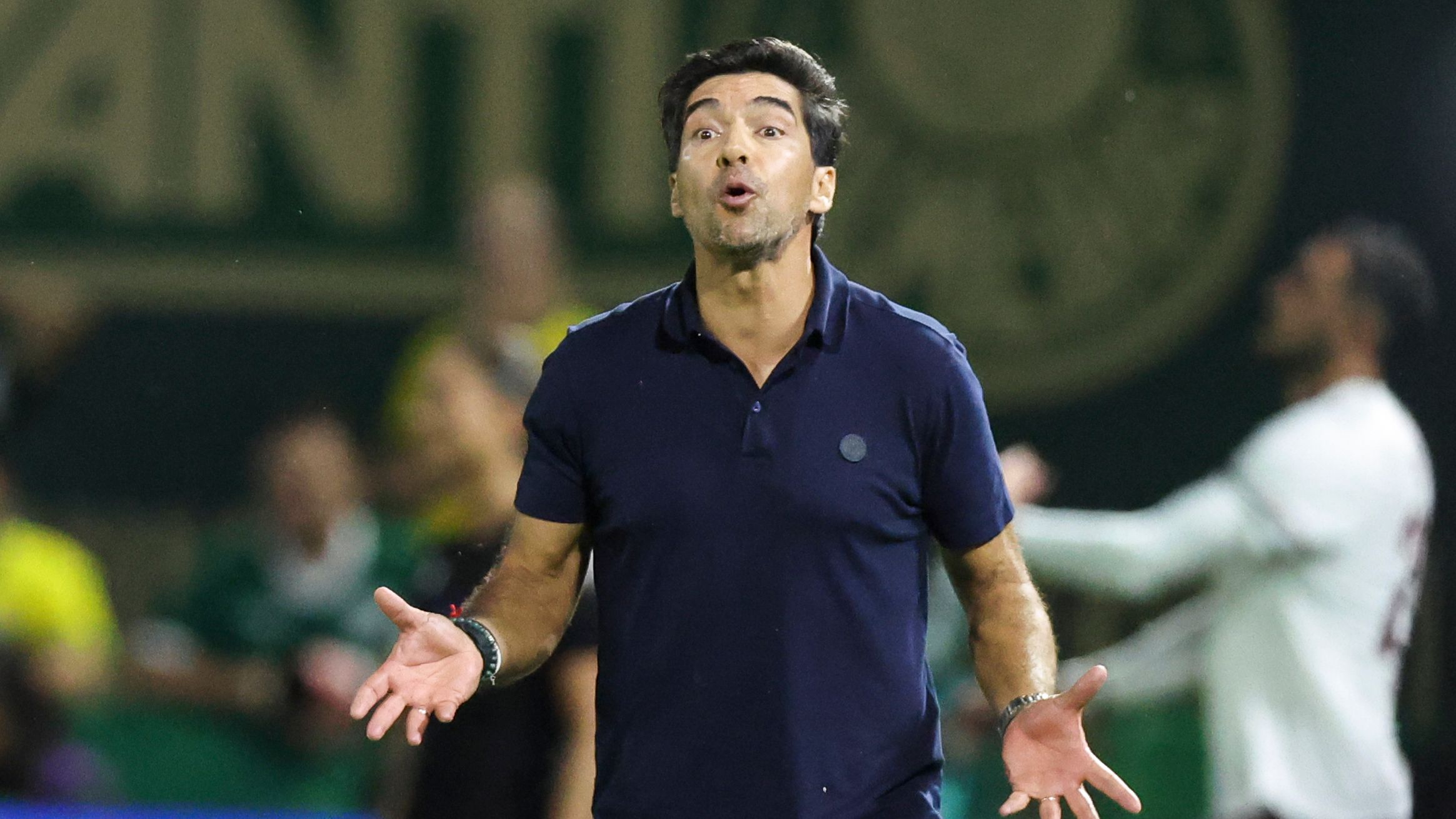 Palmeiras v Fluminense - Brasileirao 2026
