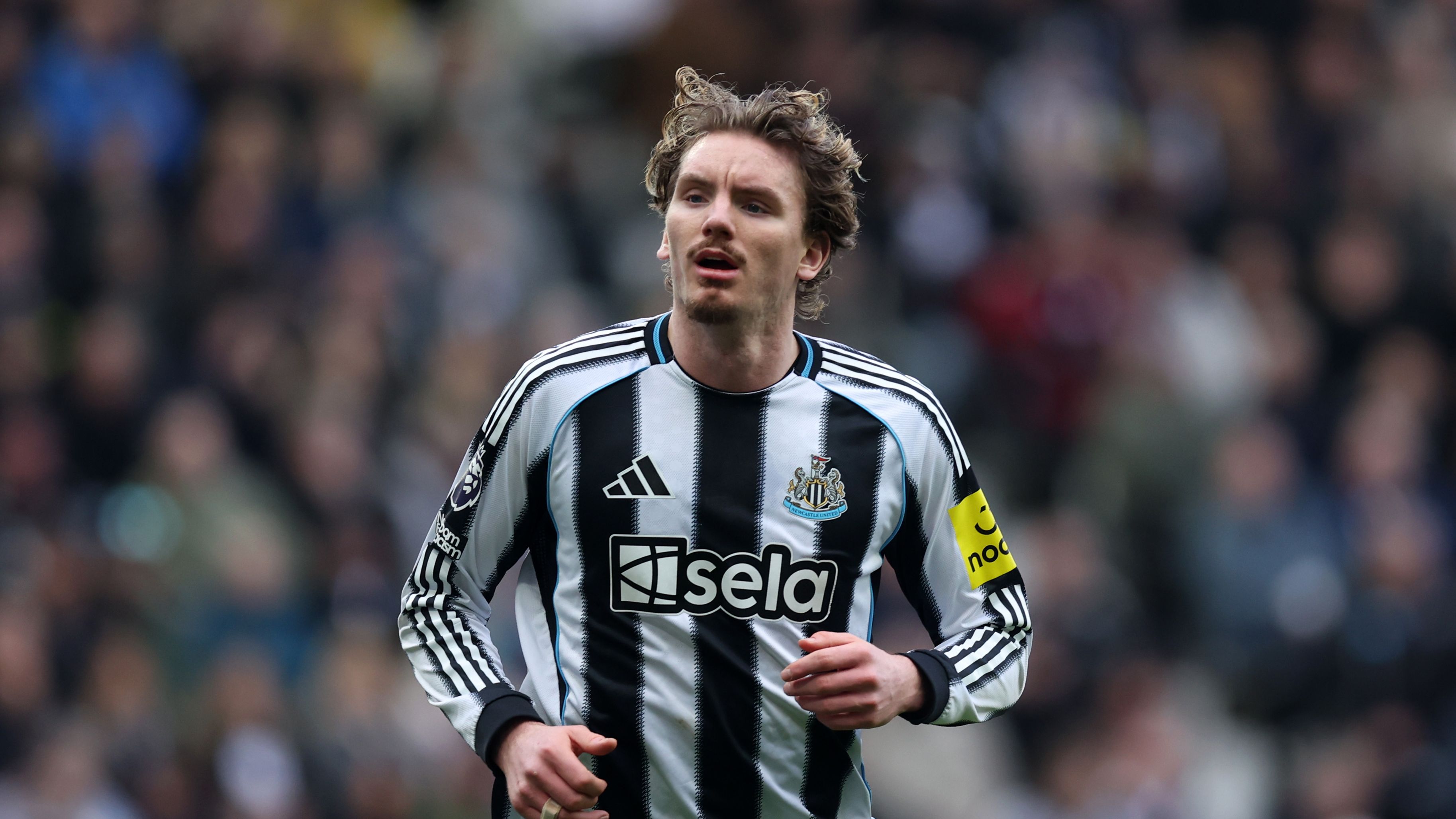 Newcastle United v Everton - Premier League