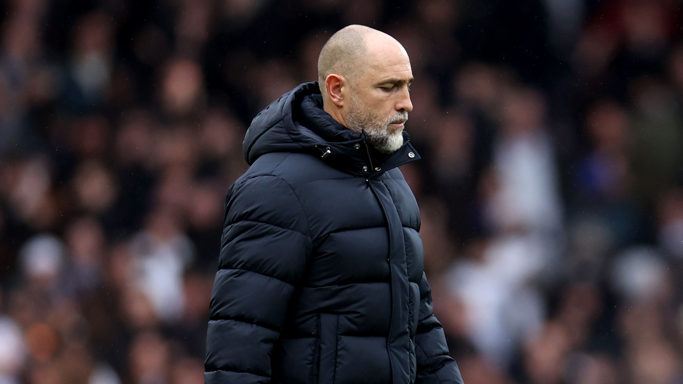 Fulham v Tottenham Hotspur - Premier League