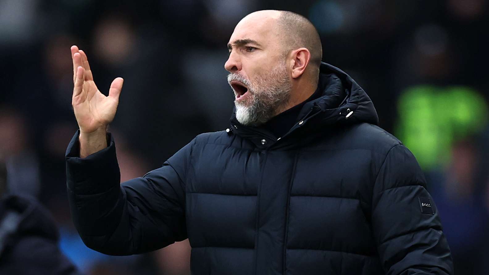 Fulham v Tottenham Hotspur - Premier League