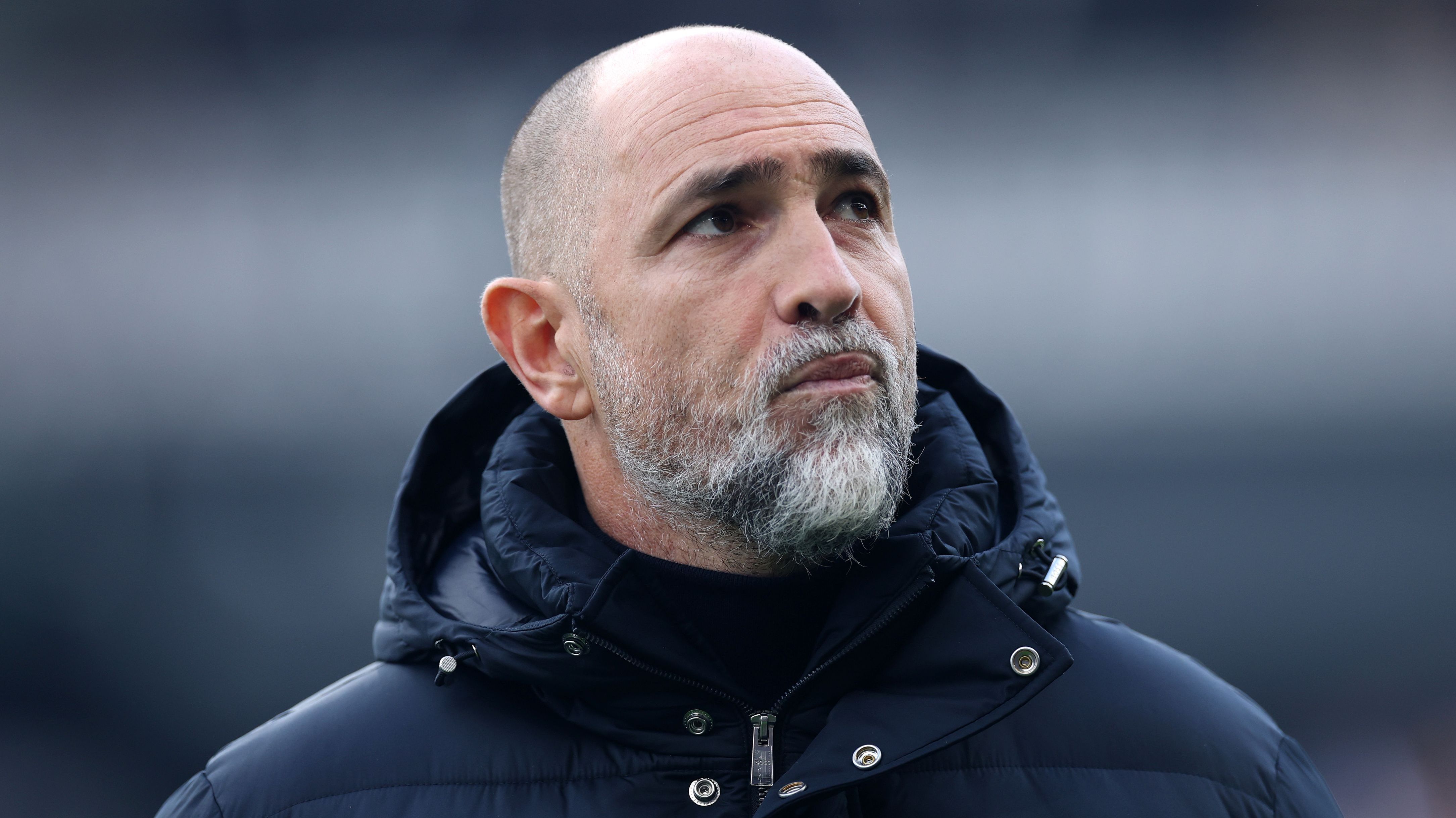 Fulham v Tottenham Hotspur - Premier League