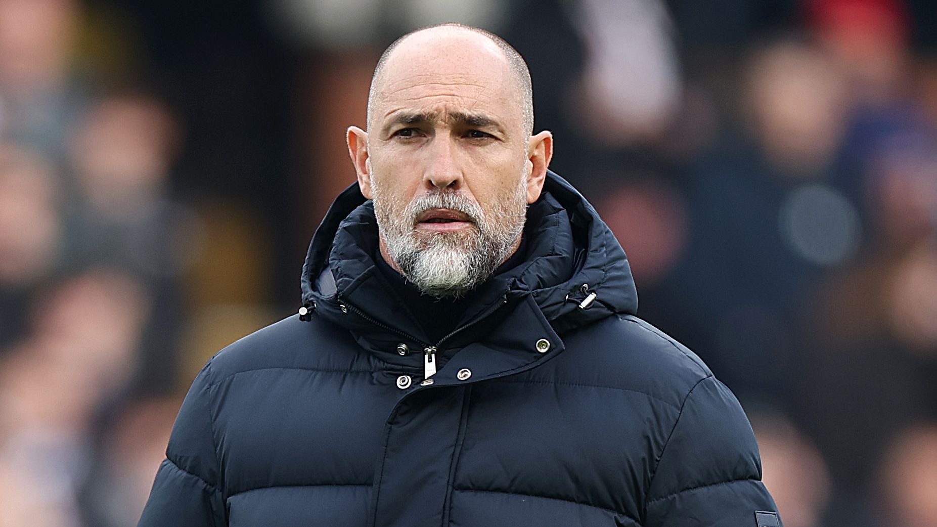 Fulham v Tottenham Hotspur - Premier League