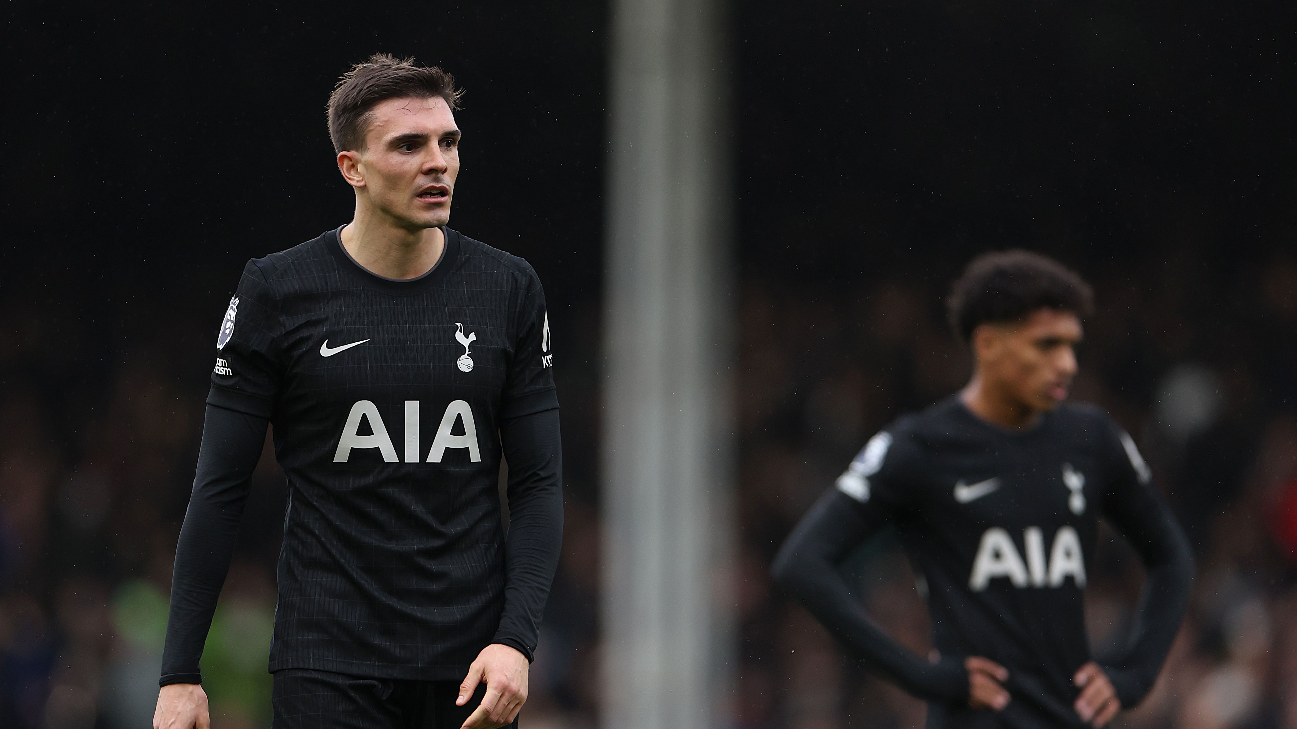 Fulham v Tottenham Hotspur - Premier League