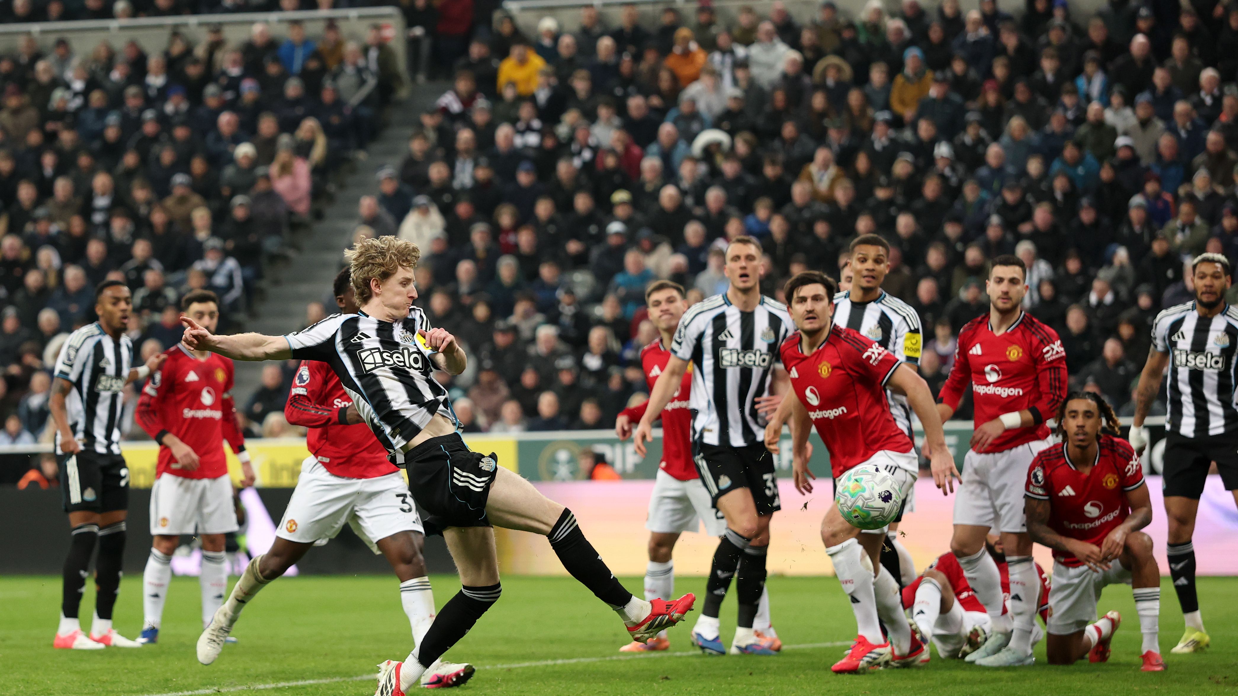 Newcastle United v Manchester United - Premier League