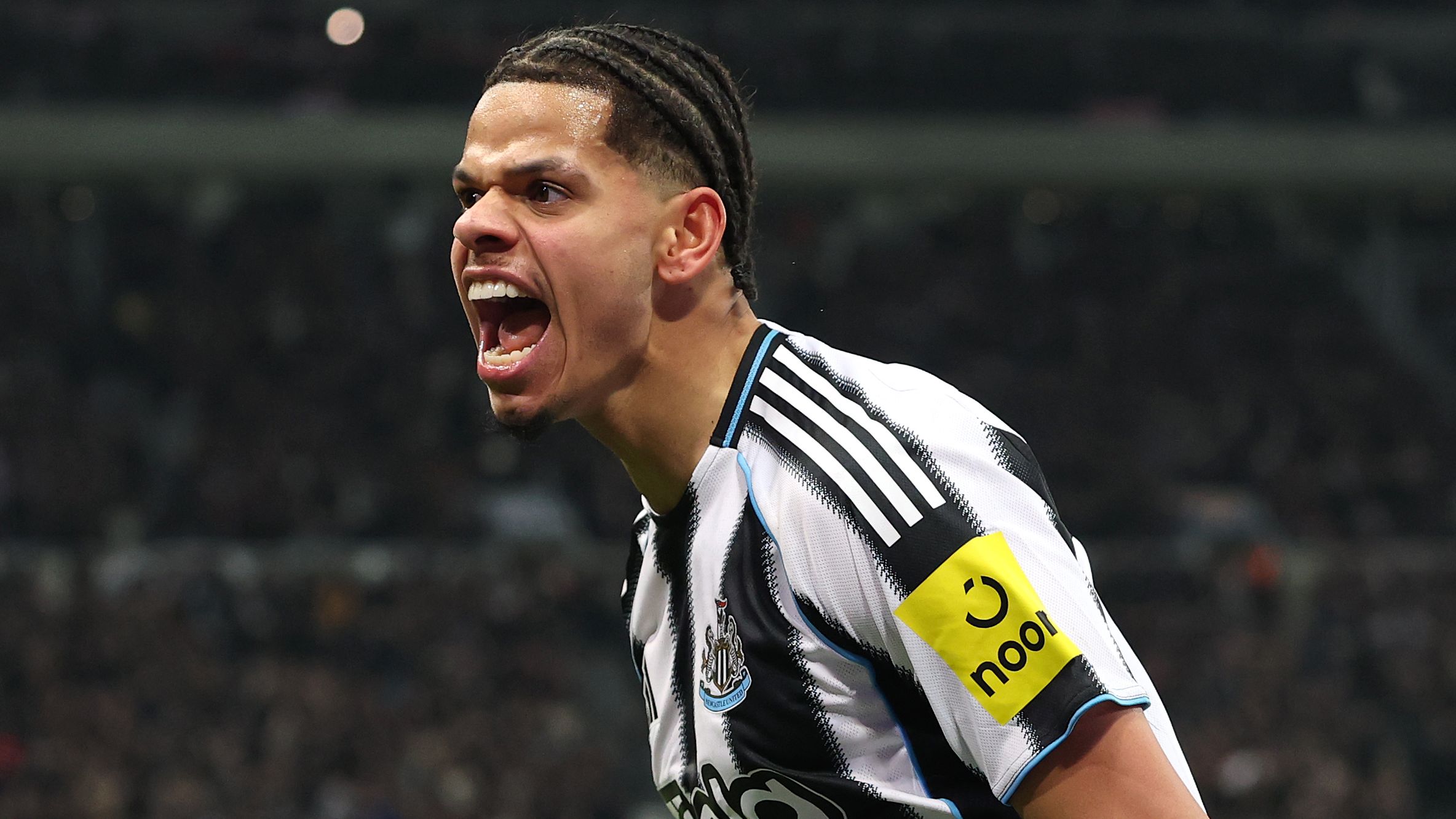 Newcastle United v Manchester United - Premier League