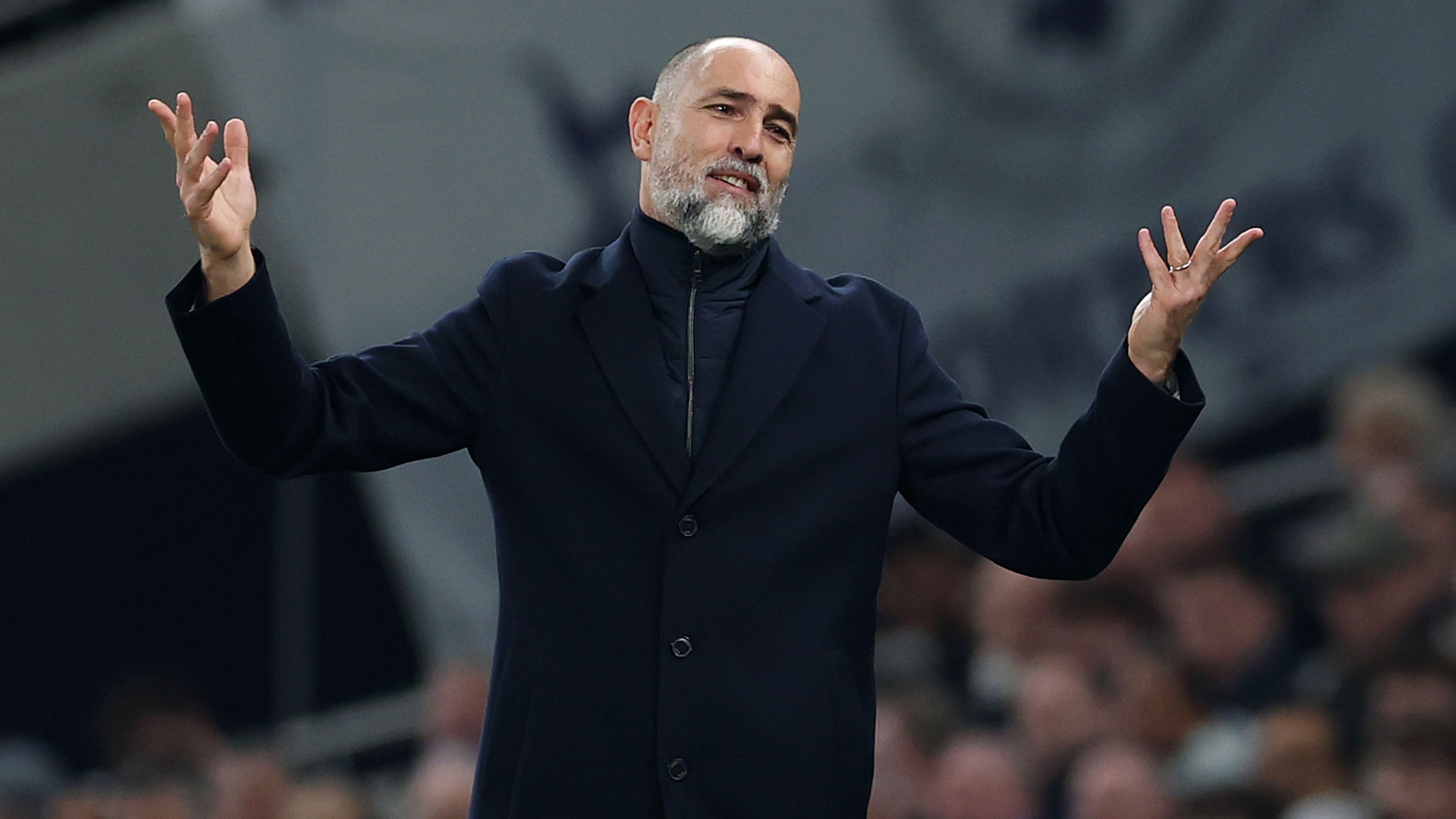 Tottenham Hotspur v Crystal Palace - Premier League