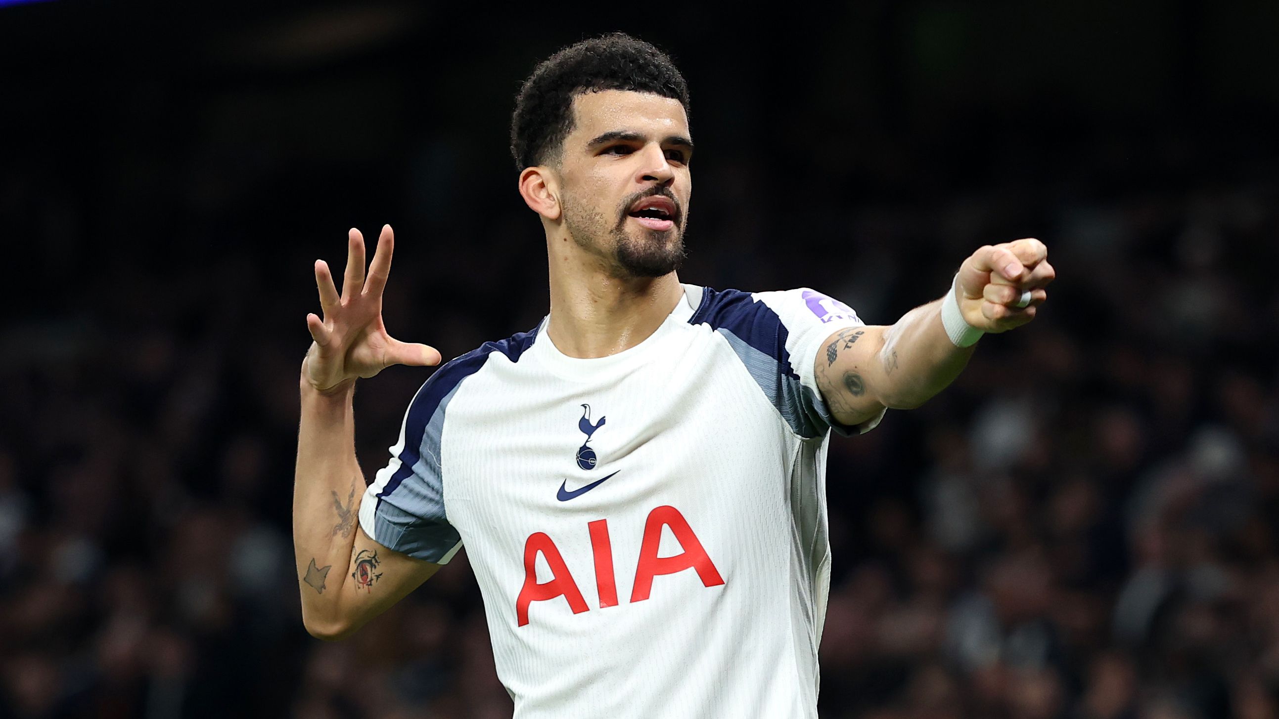 Tottenham Hotspur v Crystal Palace - Premier League