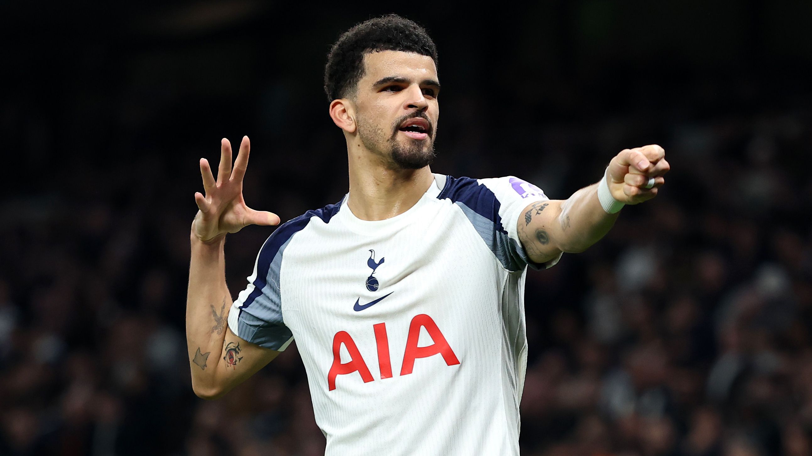 Tottenham Hotspur v Crystal Palace - Premier League