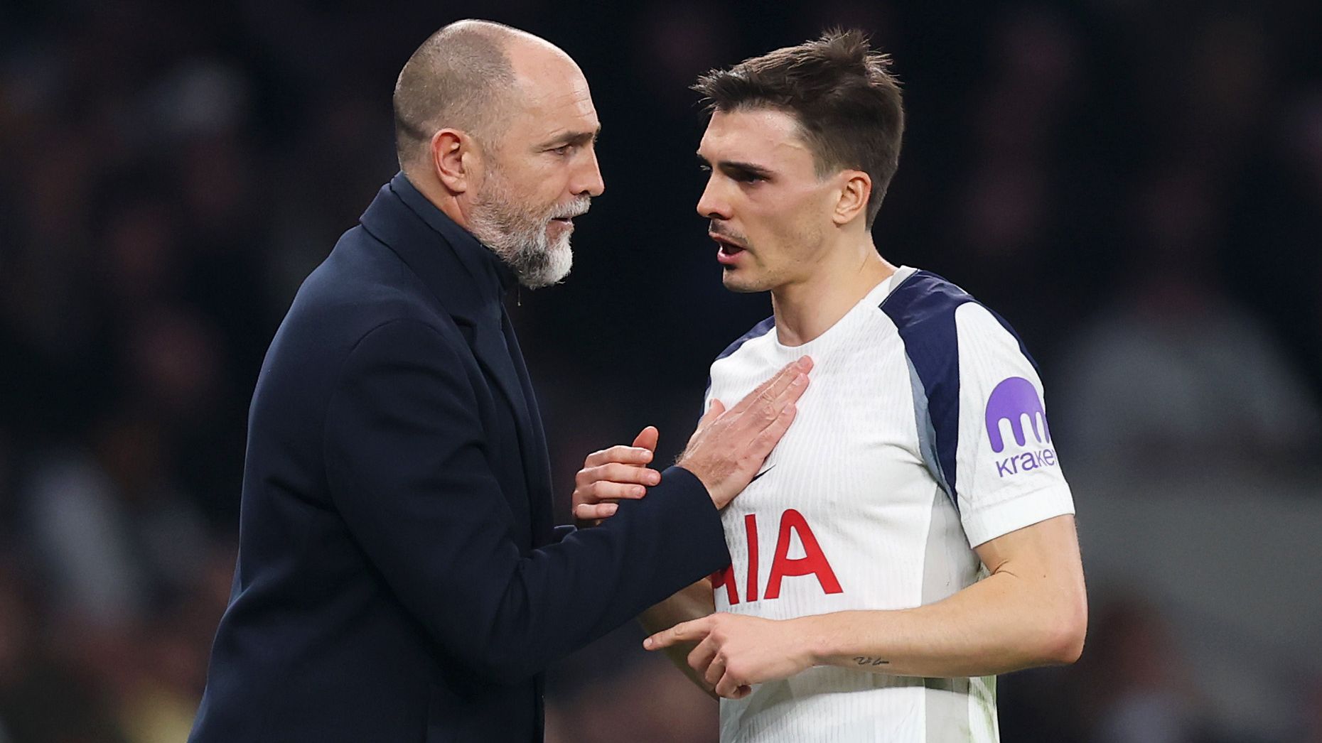 Tottenham Hotspur v Crystal Palace - Premier League