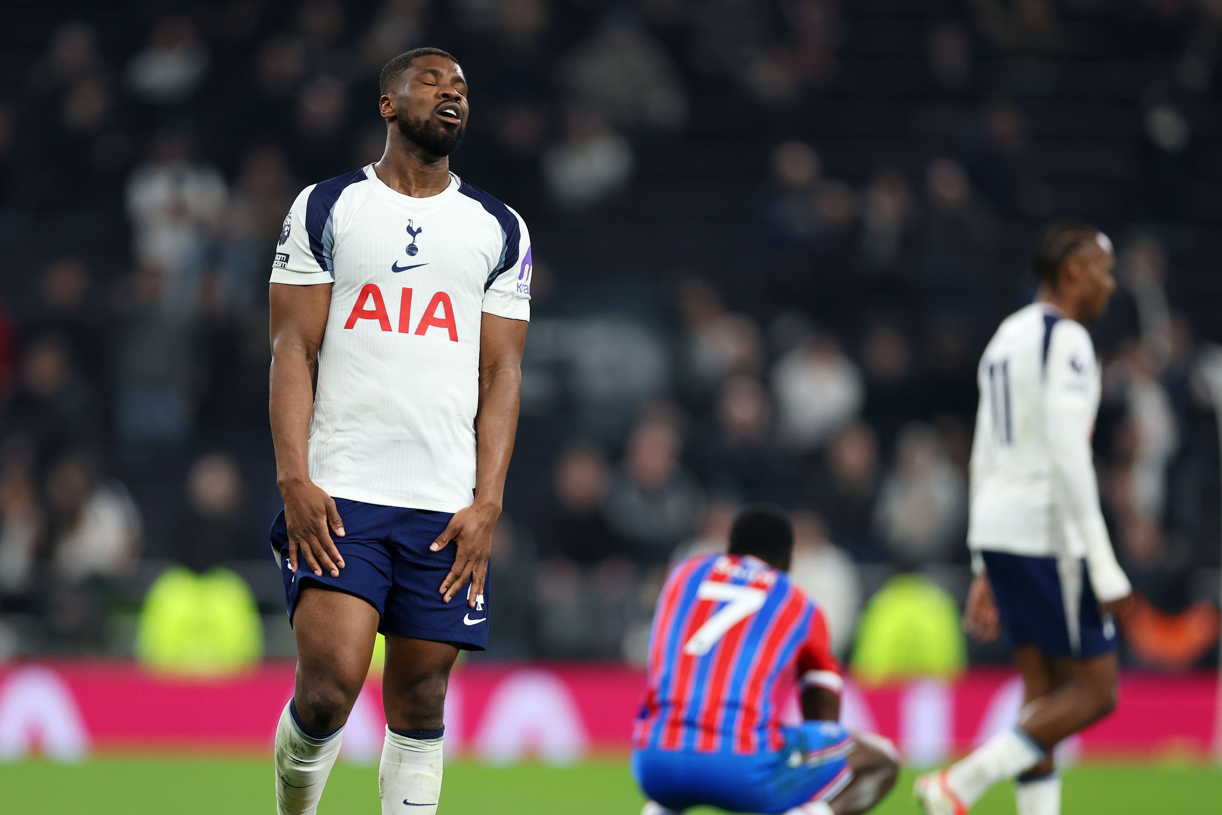 Tottenham Hotspur v Crystal Palace - Premier League
