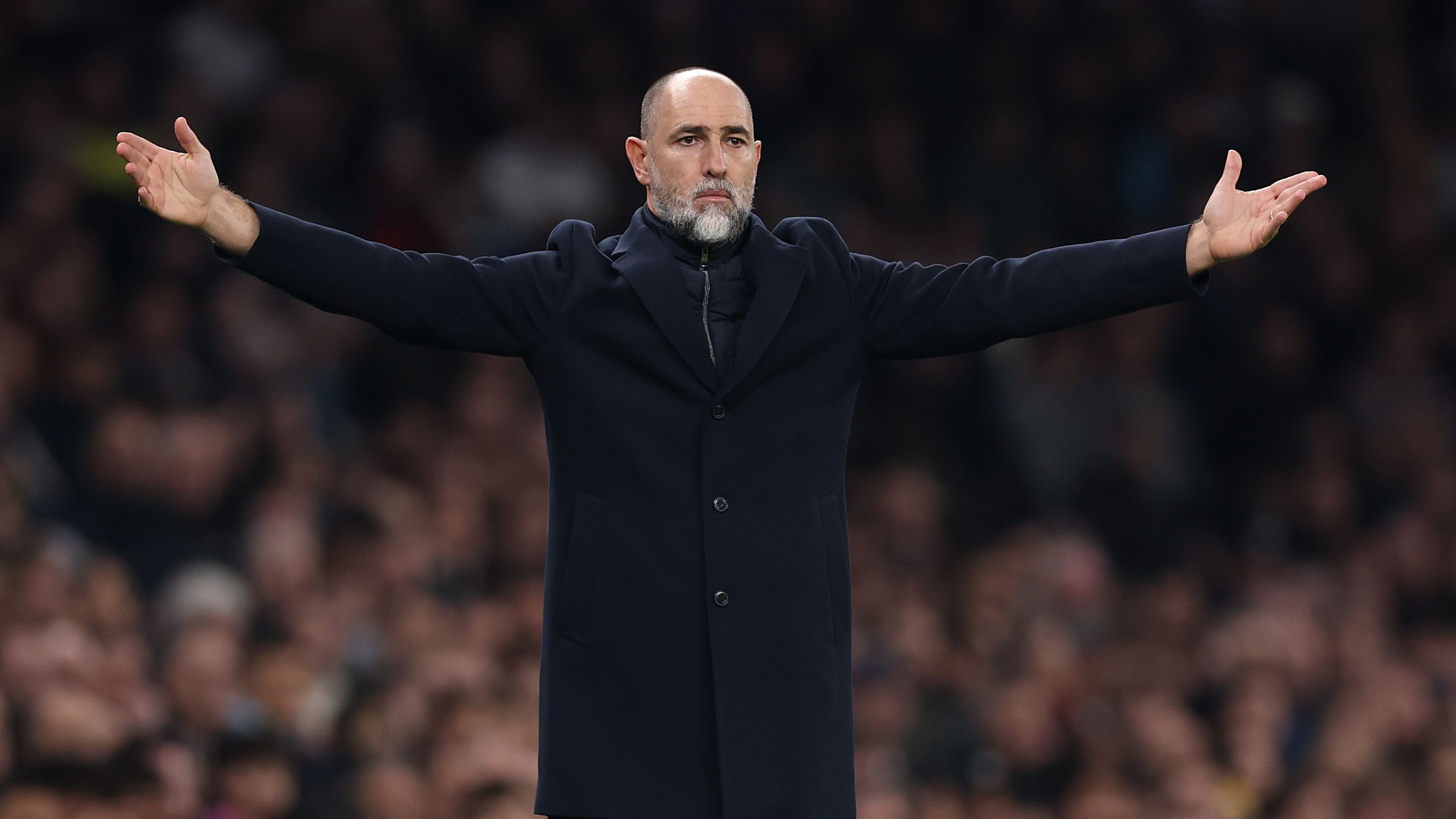 Tottenham Hotspur v Crystal Palace - Premier League