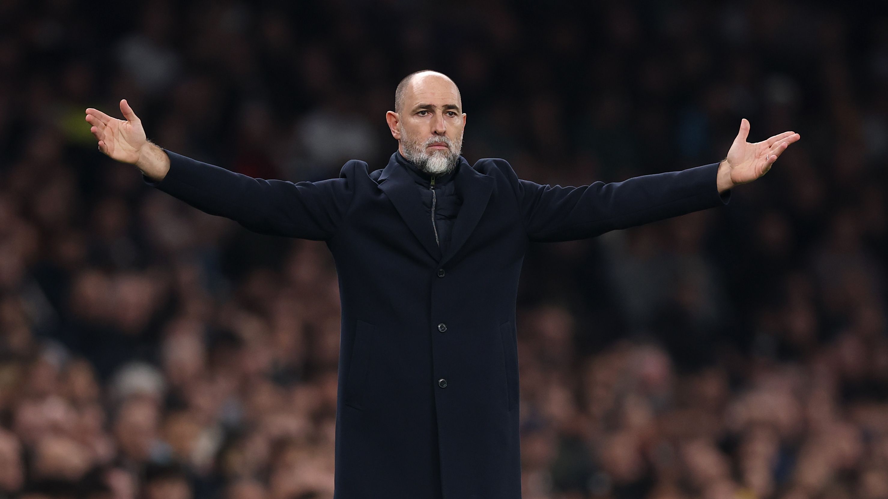 Tottenham Hotspur v Crystal Palace - Premier League