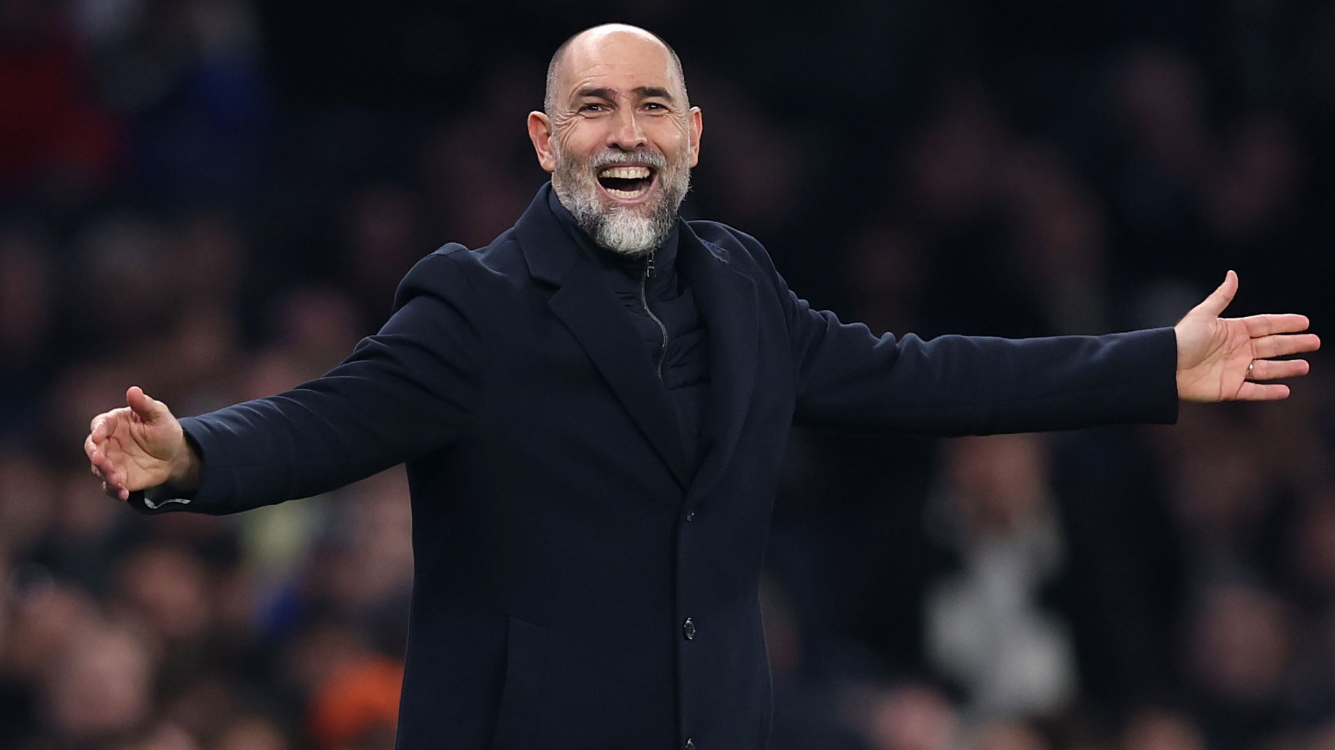 Tottenham Hotspur v Crystal Palace - Premier League