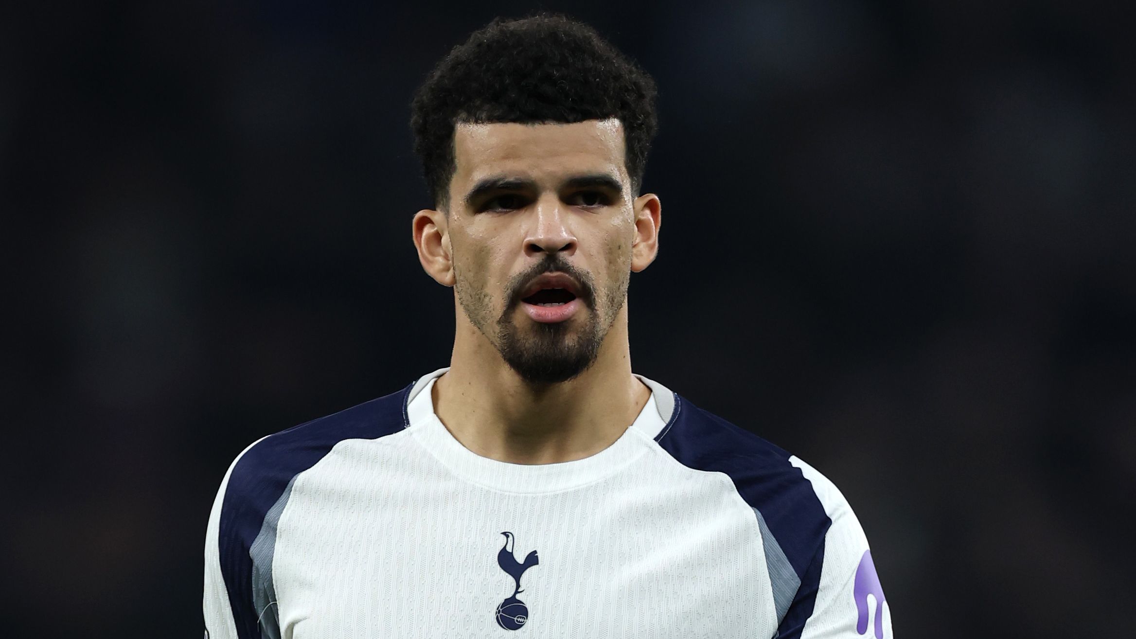 Tottenham Hotspur v Crystal Palace - Premier League