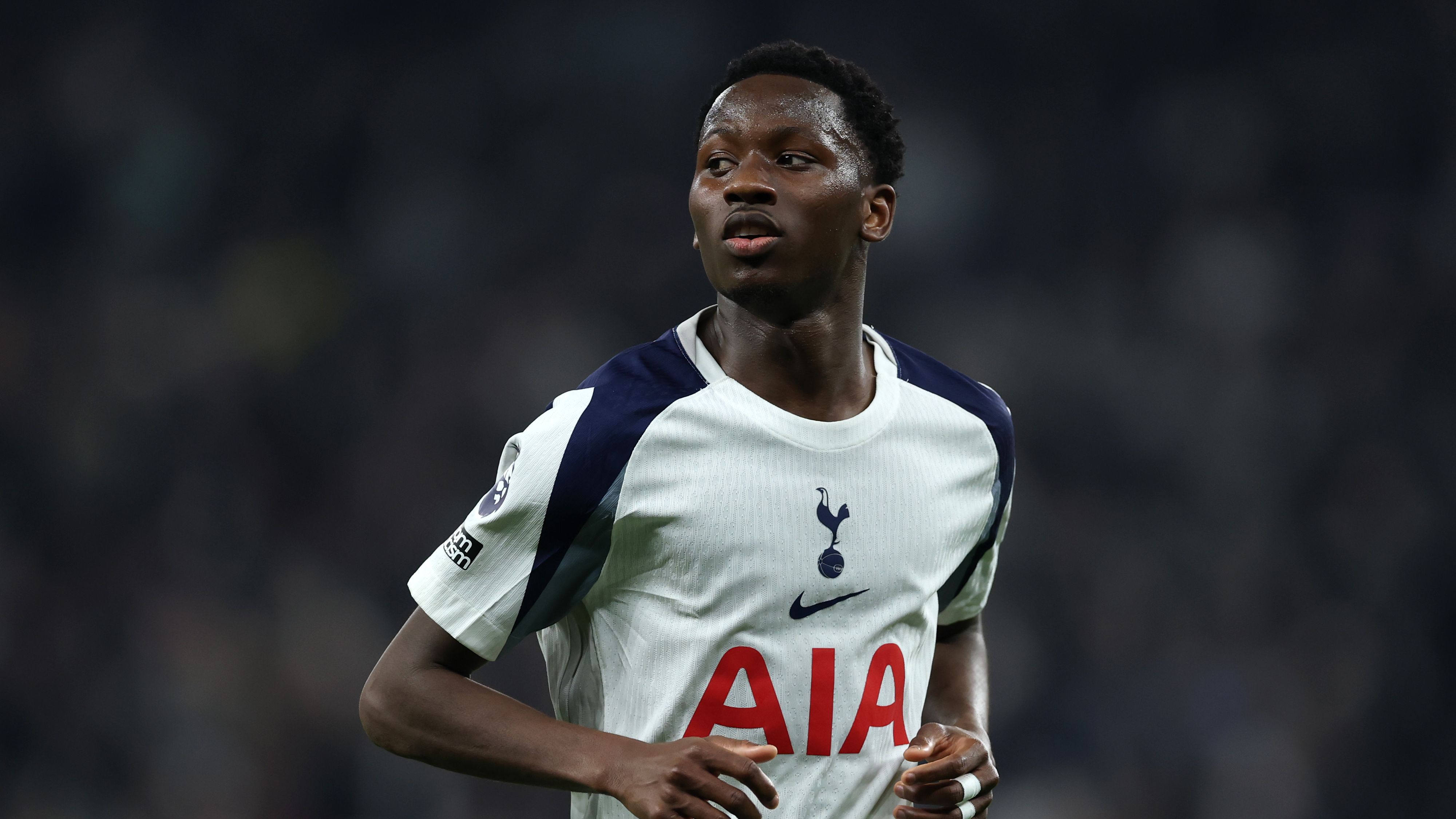 Tottenham Hotspur v Crystal Palace - Premier League