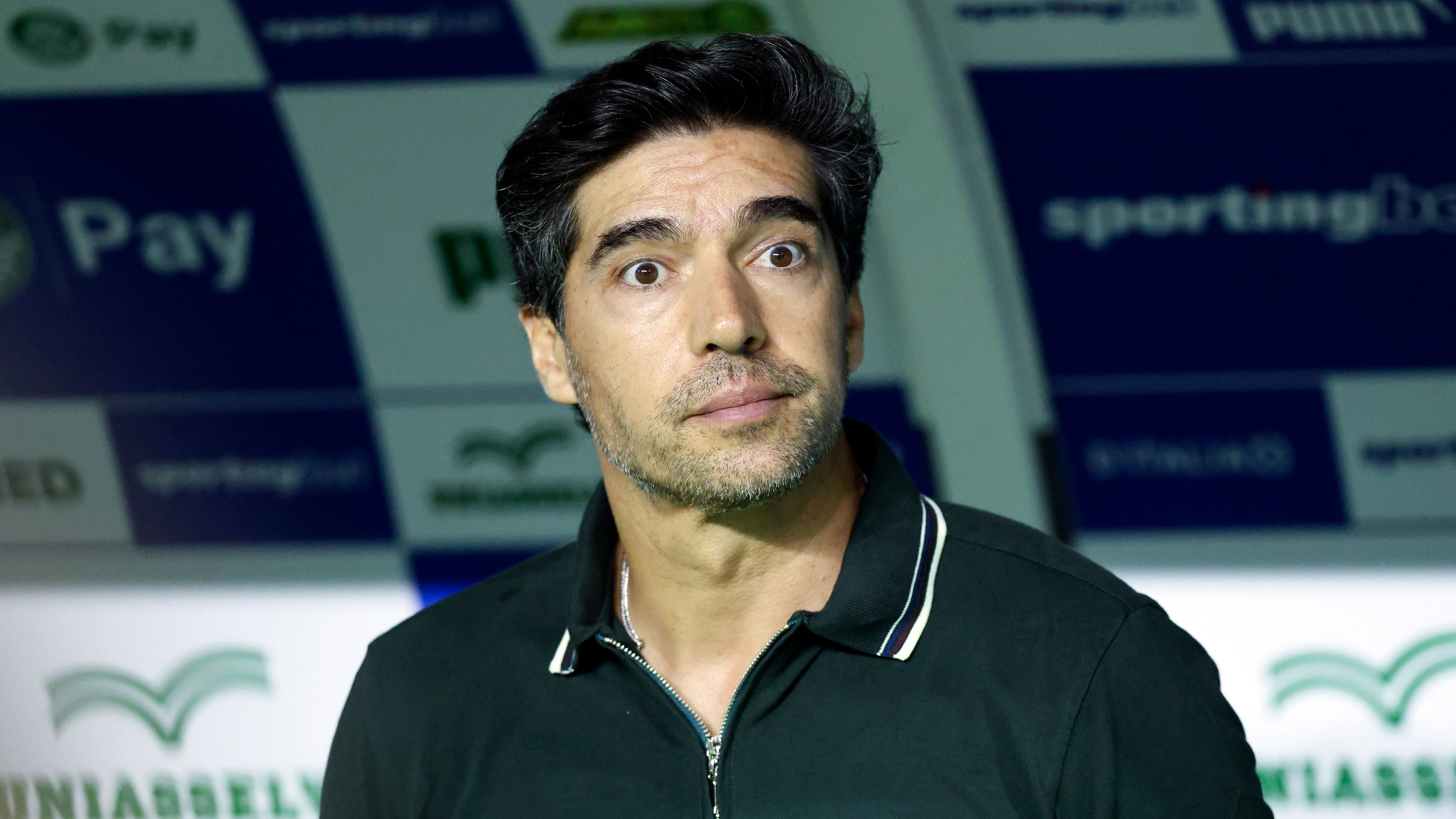 Palmeiras v Botafogo - Brasileirao 2026