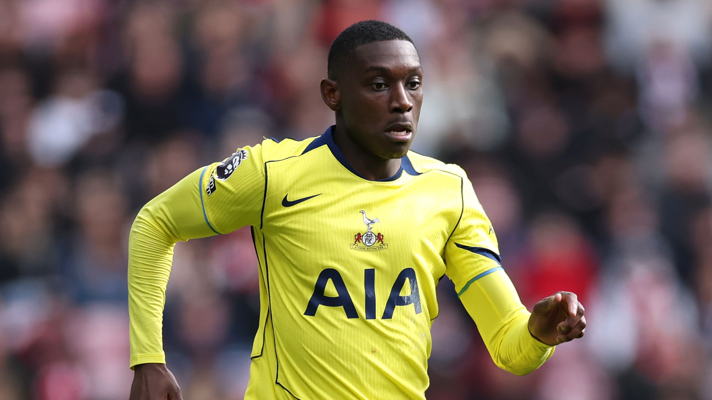Sunderland v Tottenham Hotspur - Premier League