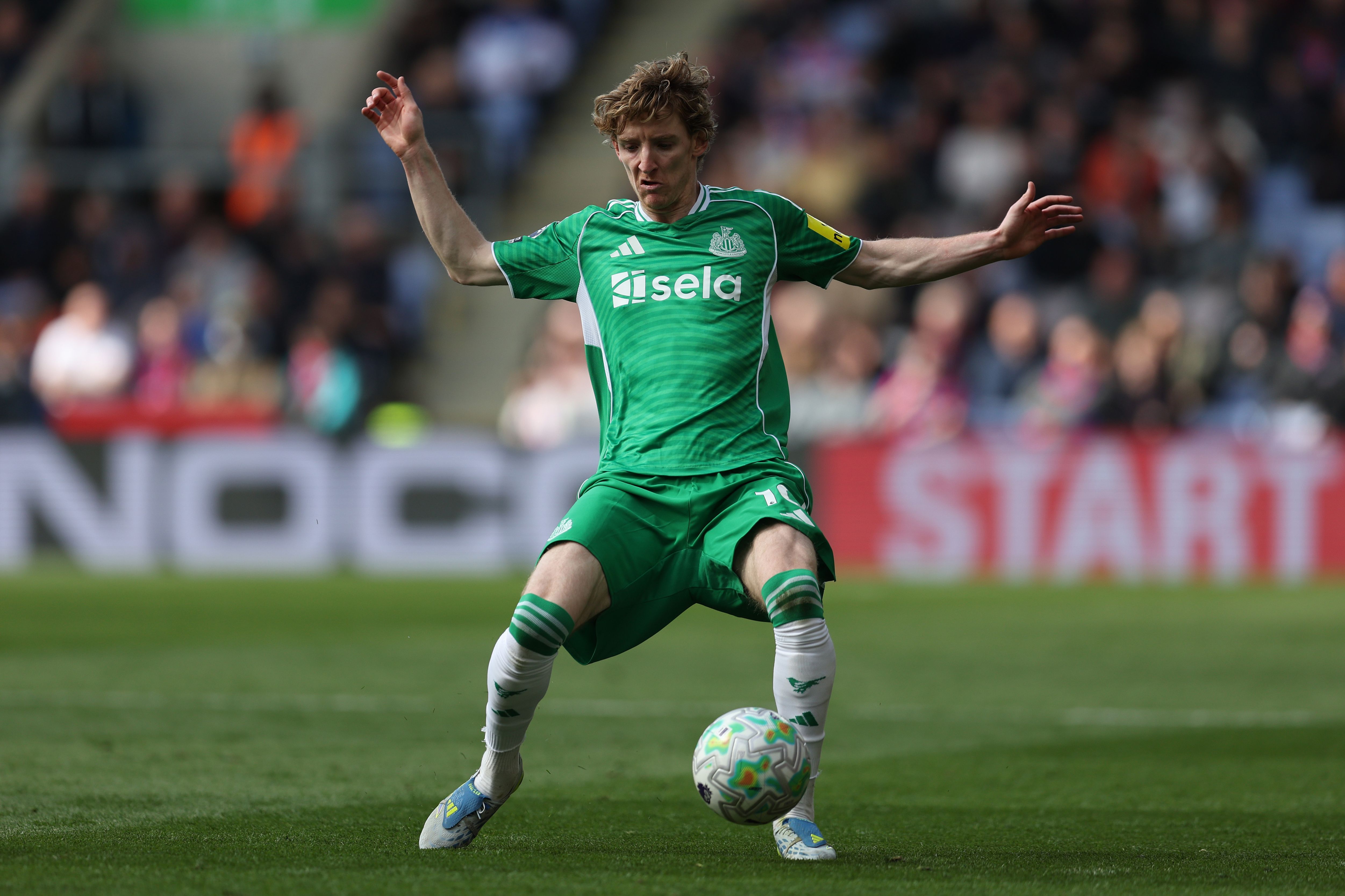 Crystal Palace v Newcastle United - Premier League