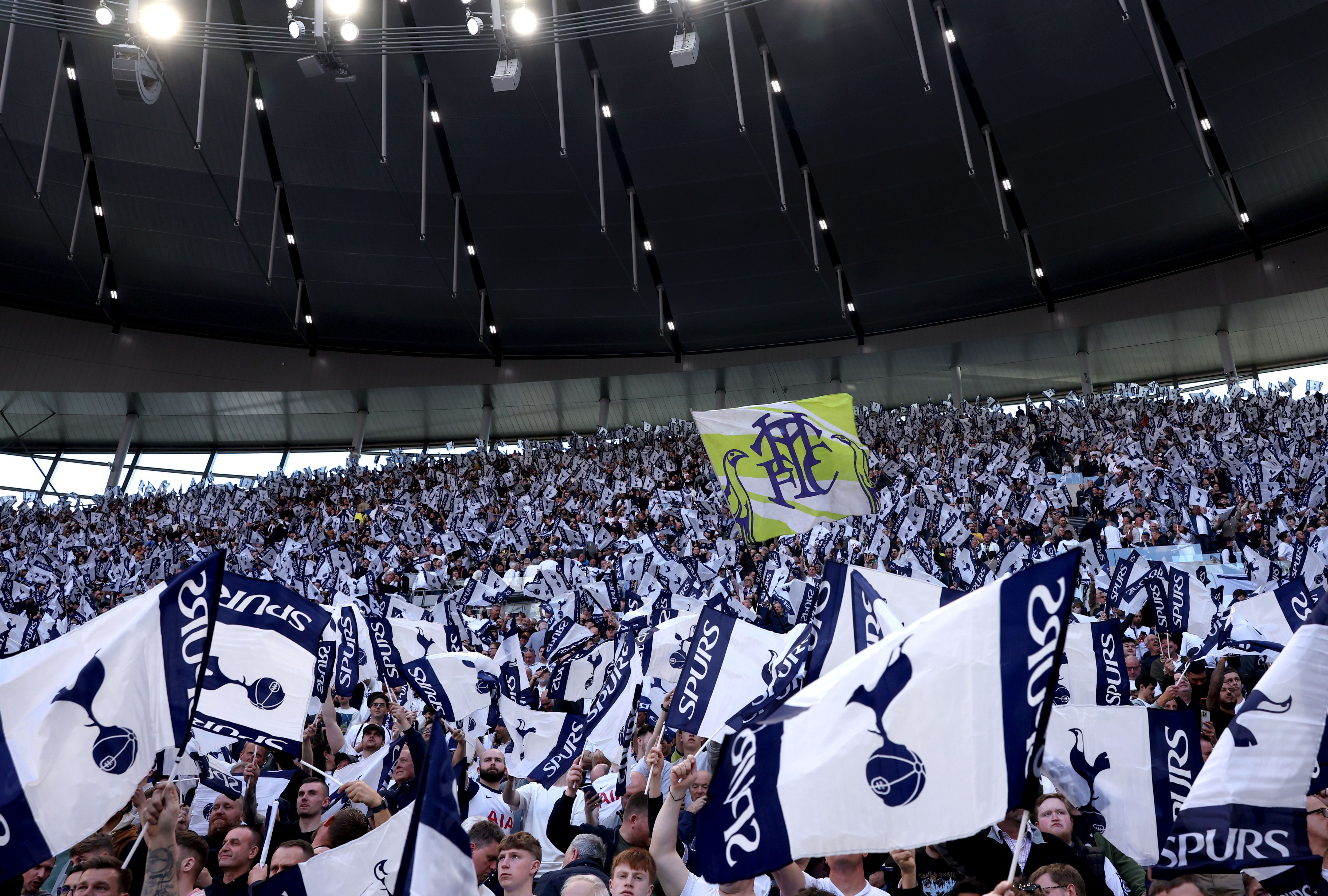 Tottenham Hotspur v Brighton & Hove Albion - Premier League