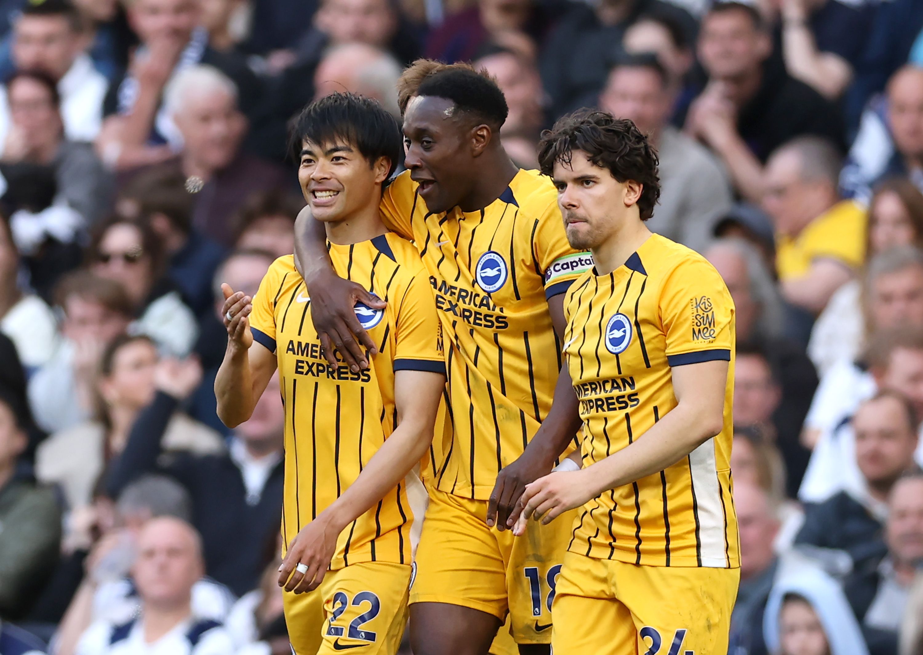 Tottenham Hotspur v Brighton & Hove Albion - Premier League
