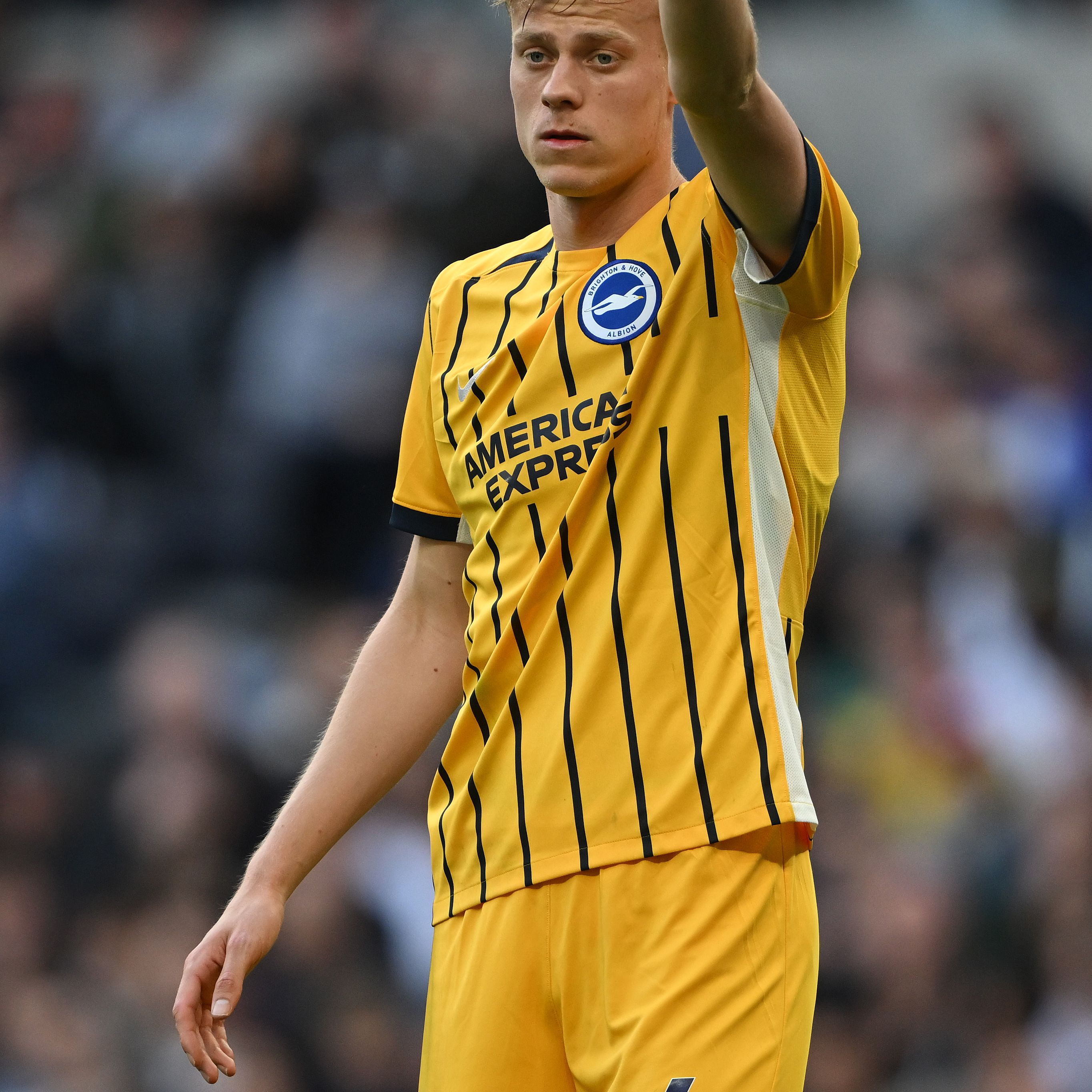 Tottenham Hotspur v Brighton & Hove Albion - Premier League