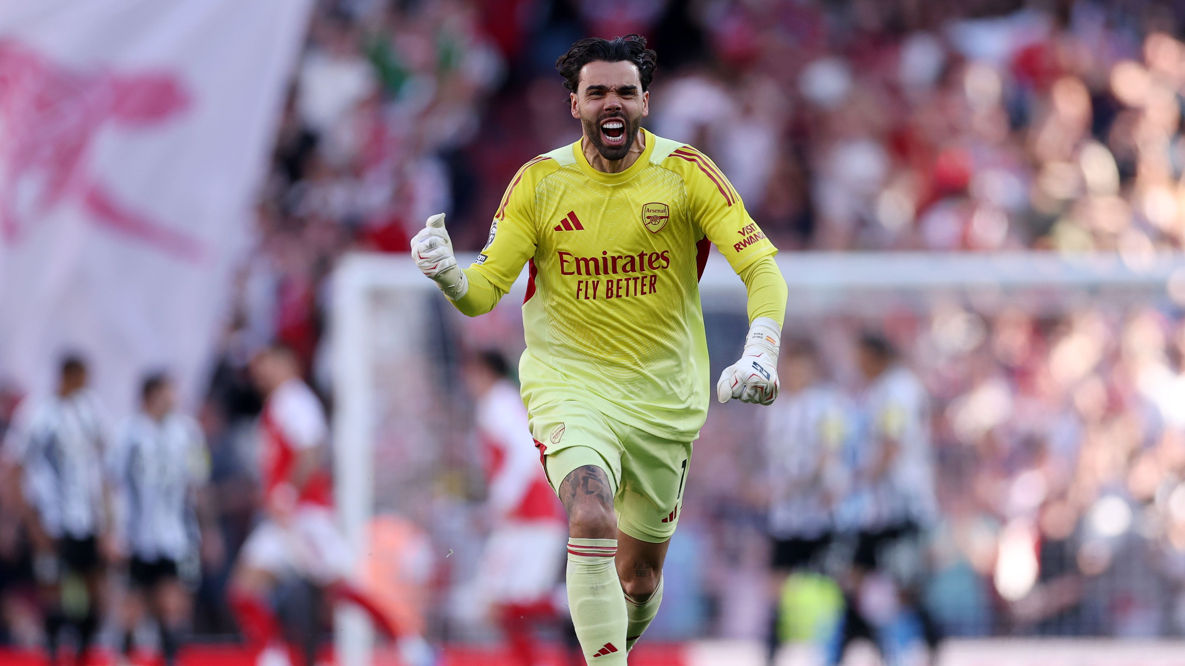 Arsenal v Newcastle United - Premier League