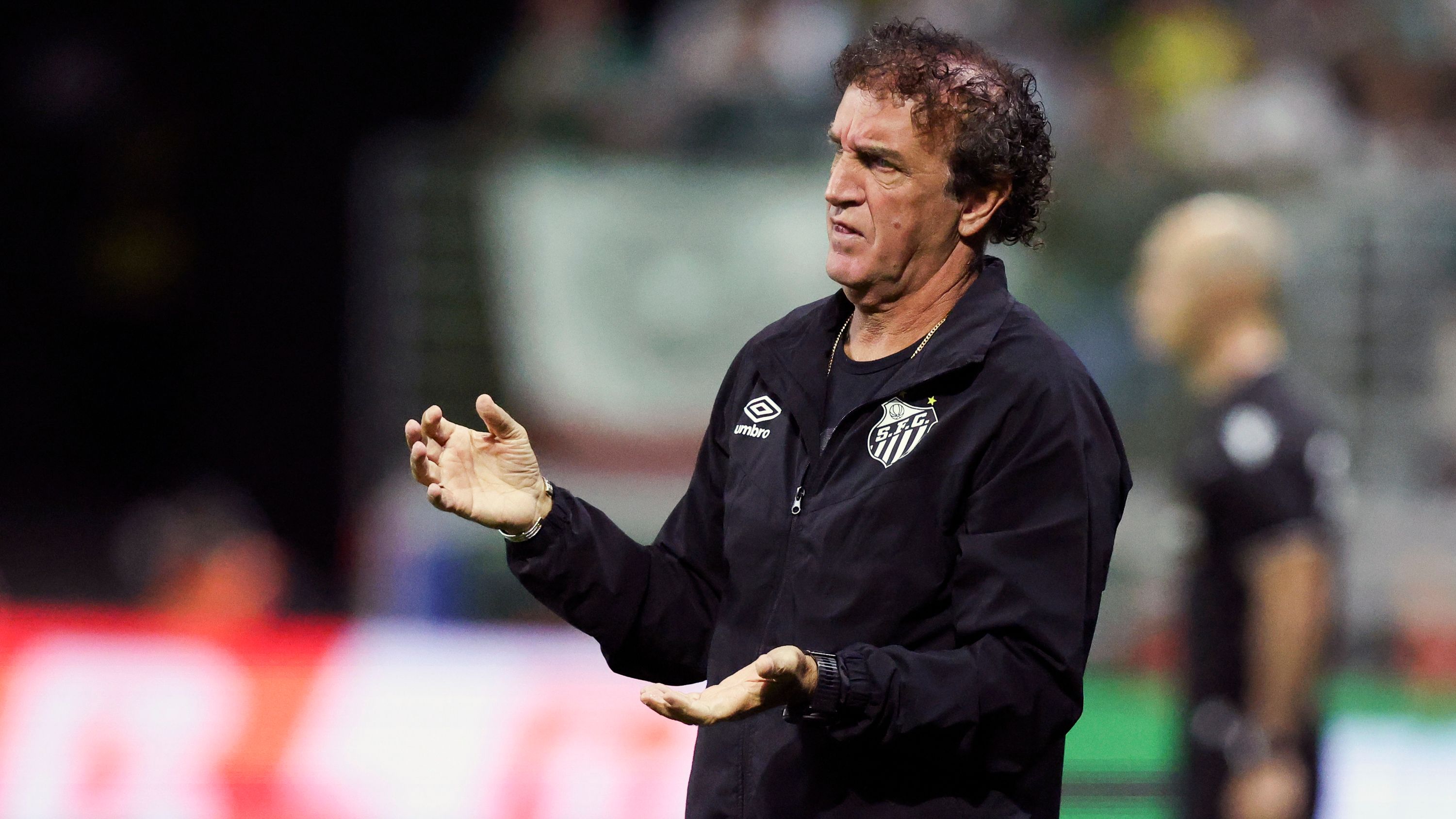 Palmeiras v Santos - Brasileirao 2026
