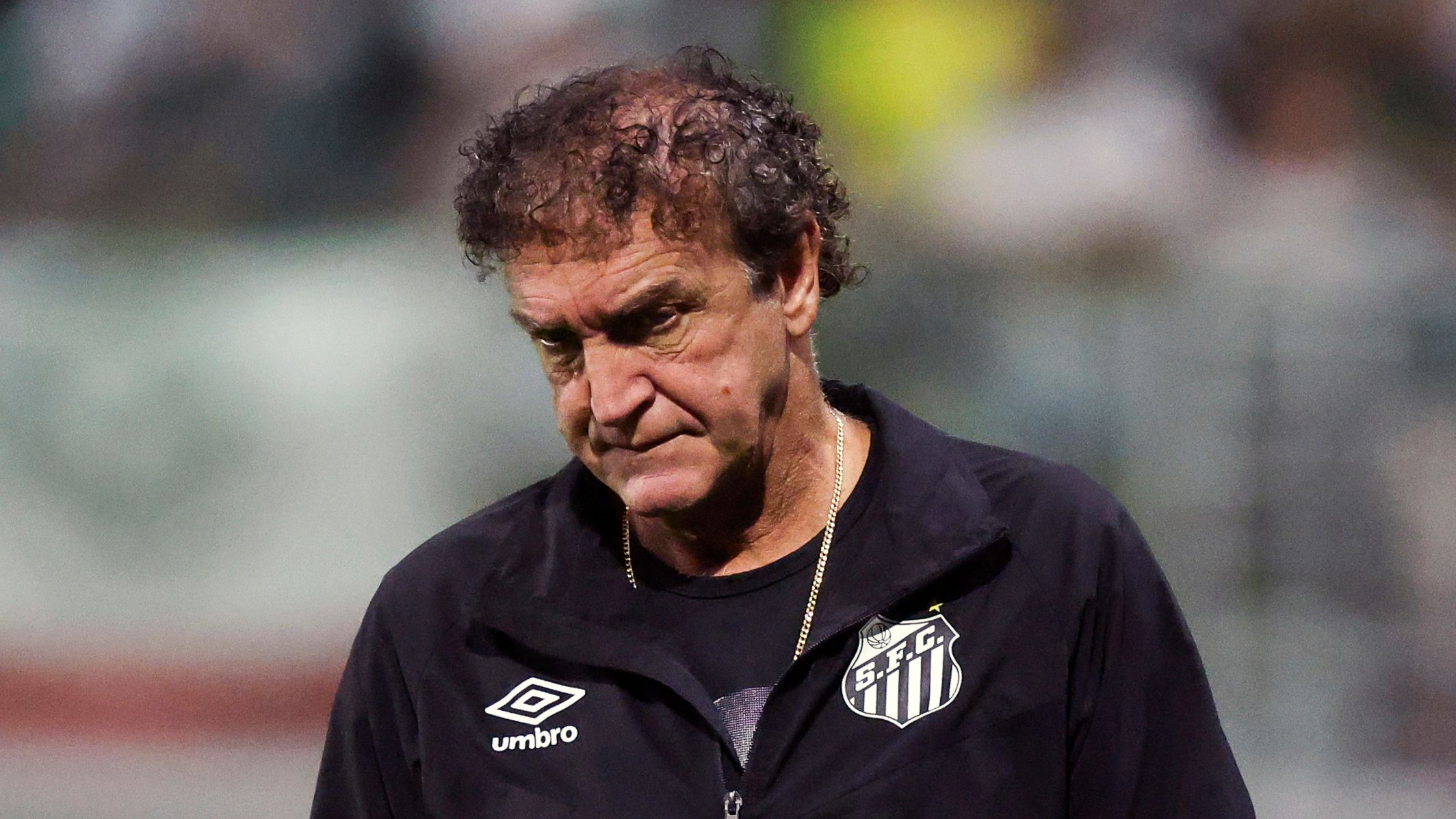 Palmeiras v Santos - Brasileirao 2026