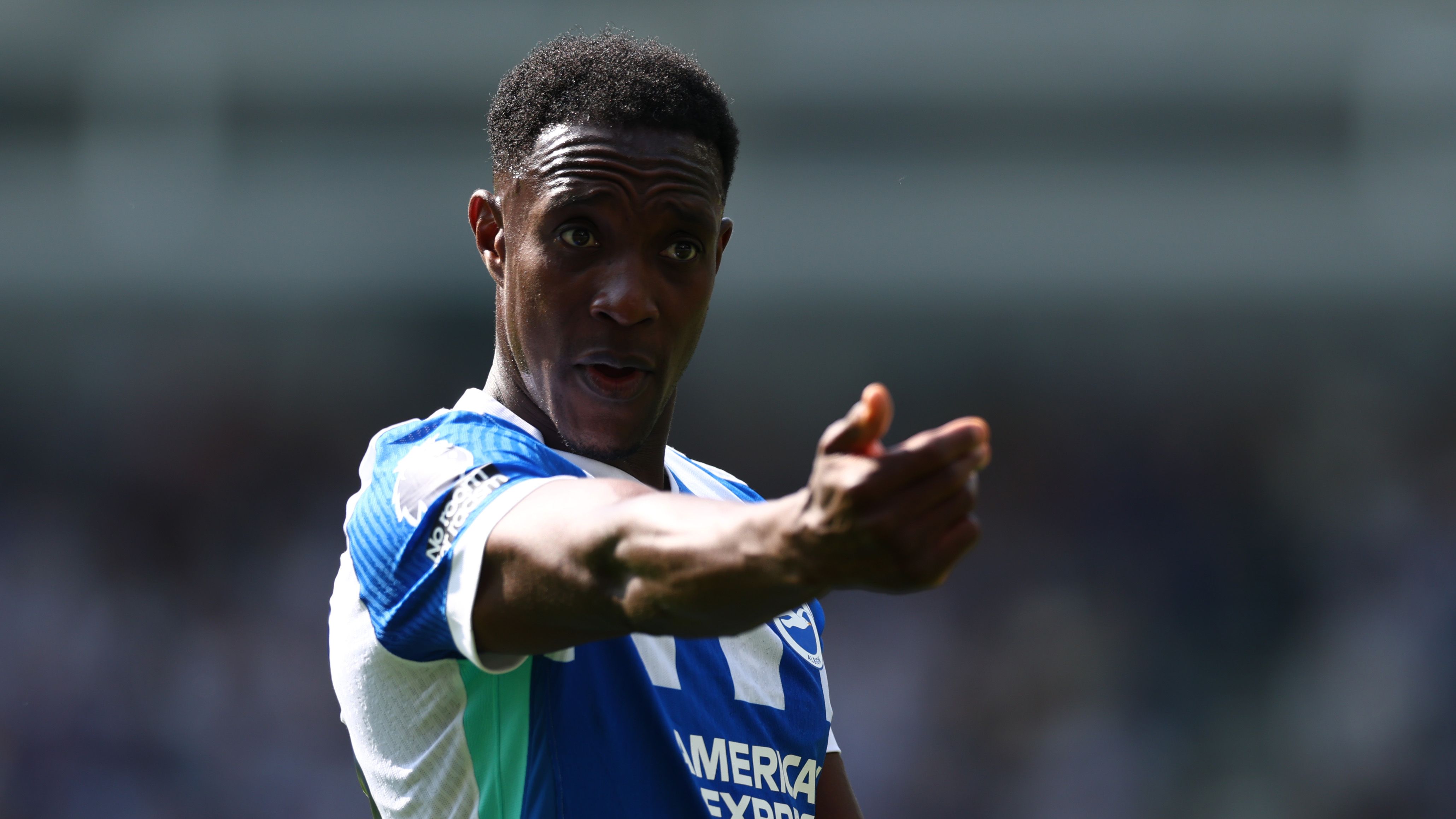 Brighton & Hove Albion v Wolverhampton Wanderers - Premier League