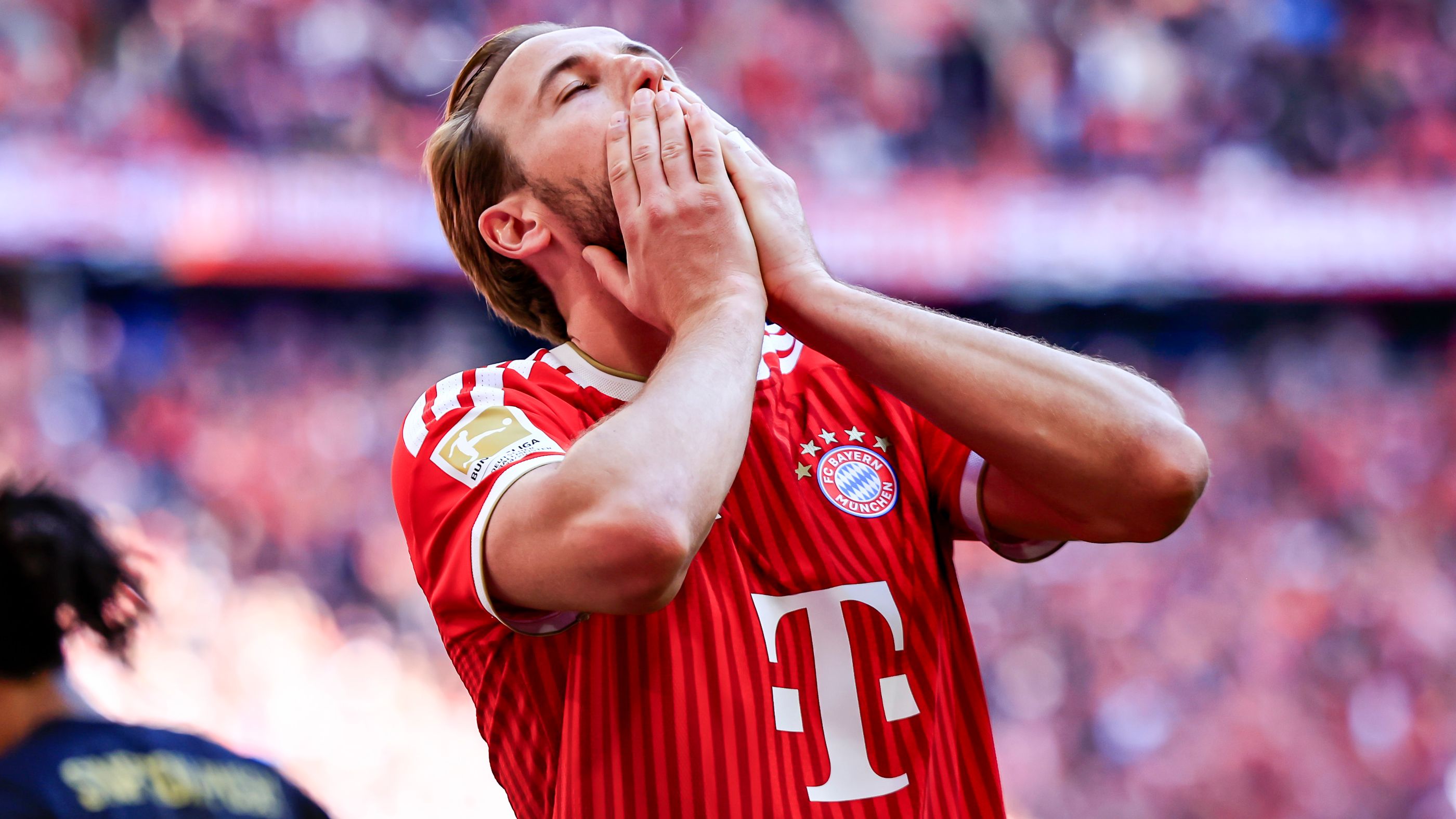 FC Bayern München v 1. FC Köln - Bundesliga