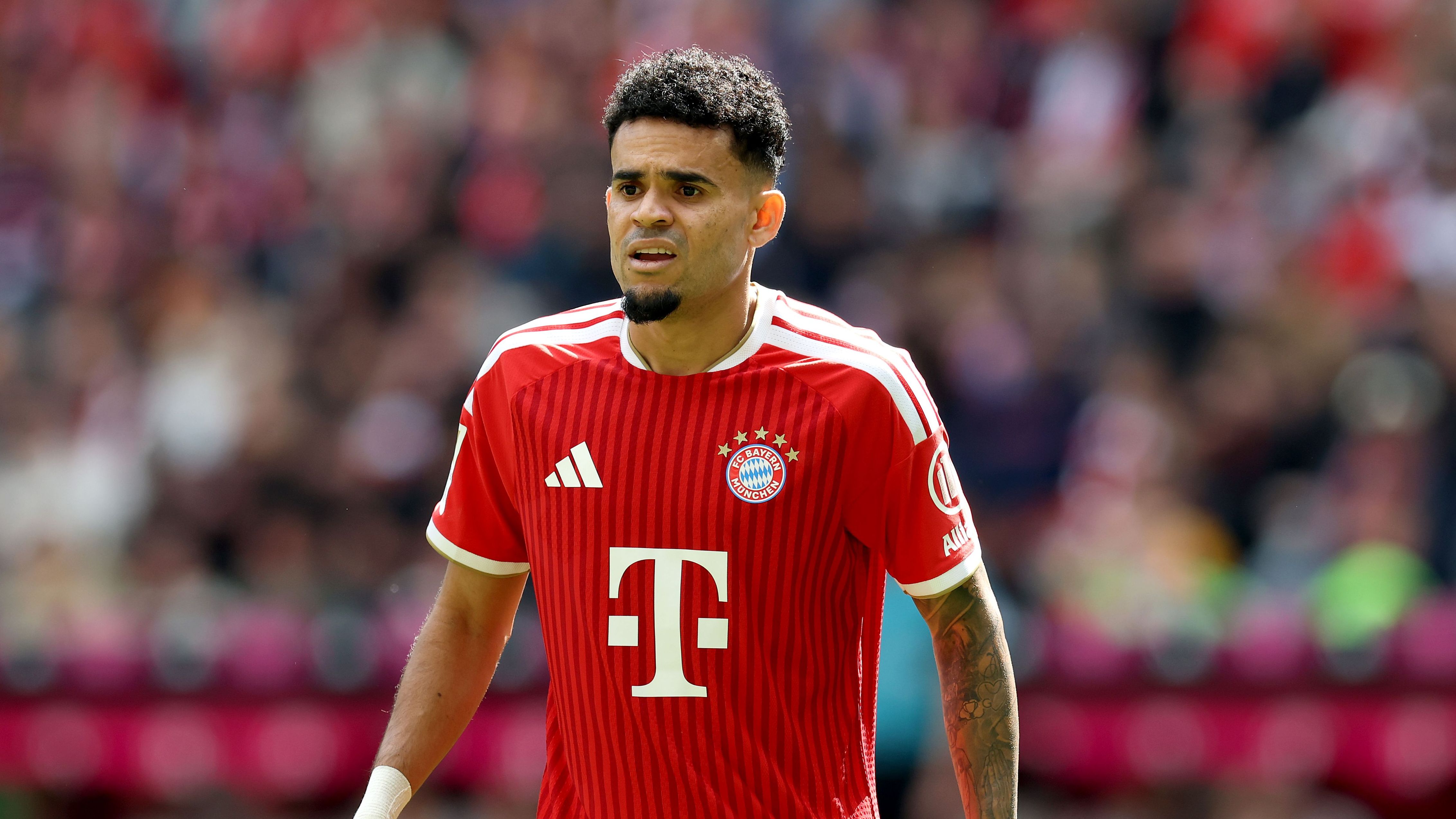 FC Bayern München v 1. FC Köln - Bundesliga